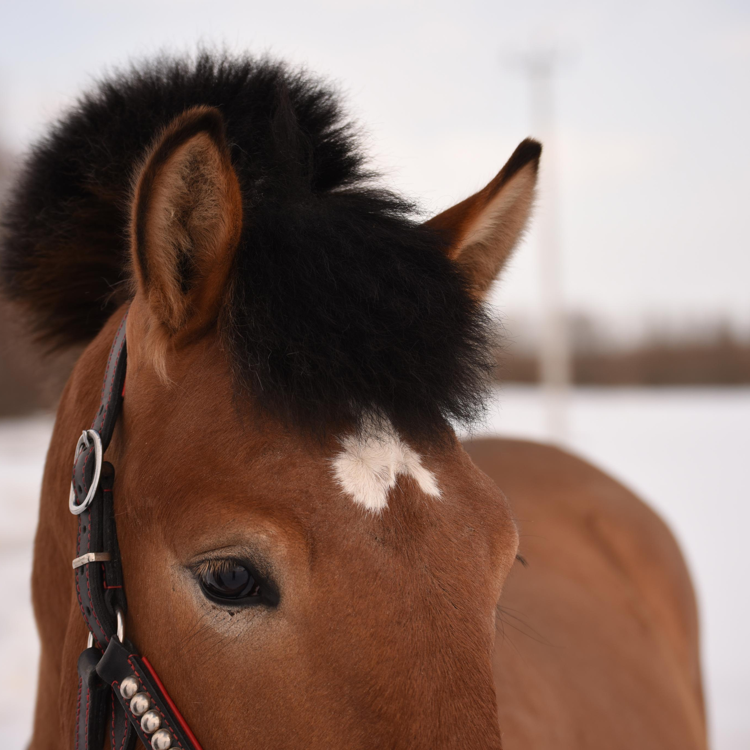 Ваши отзывы. Фотограф в Санкт-Петербурге Светлана Балабанова