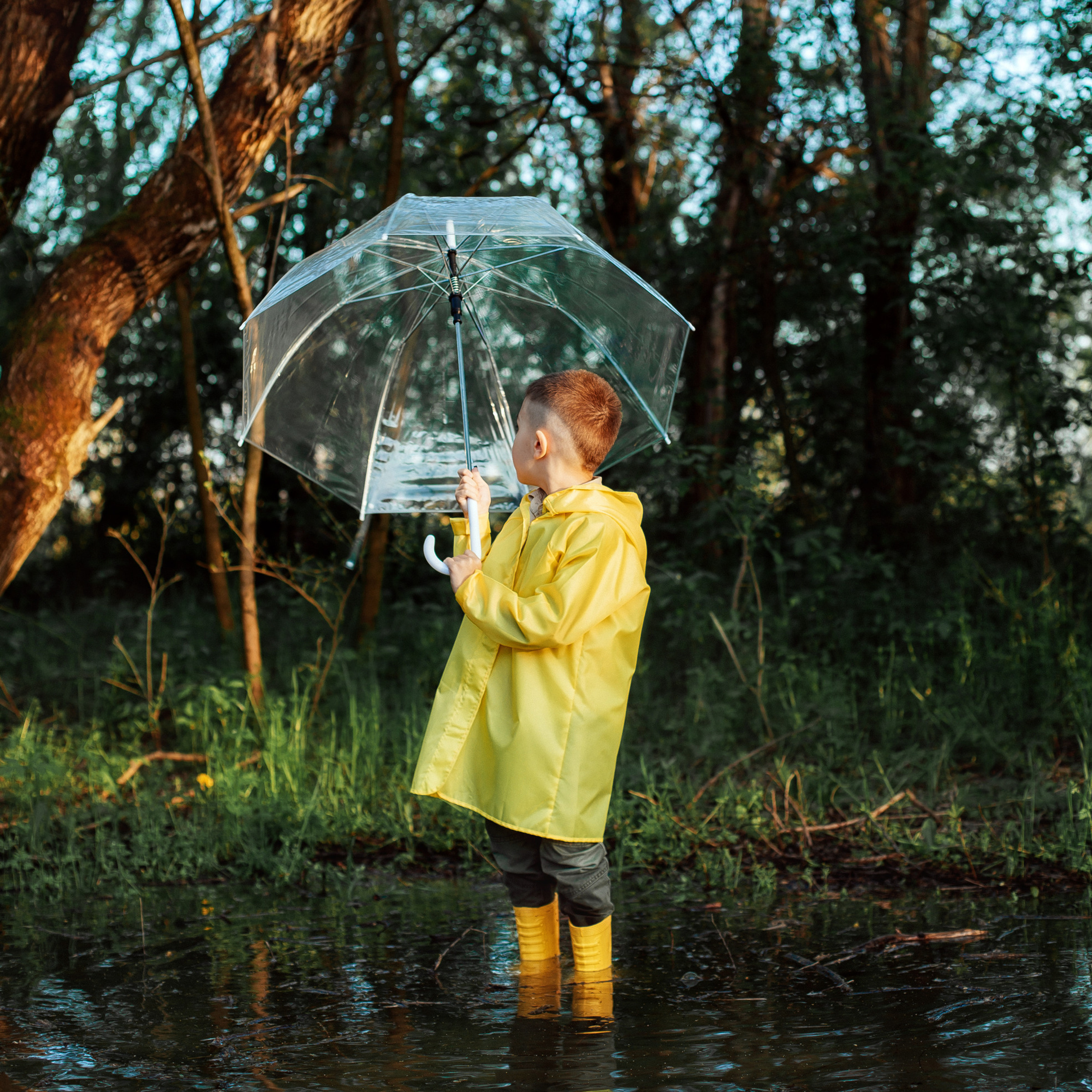 Отзывы. Семейный фотограф в Тбилисском районе Наталия Батина