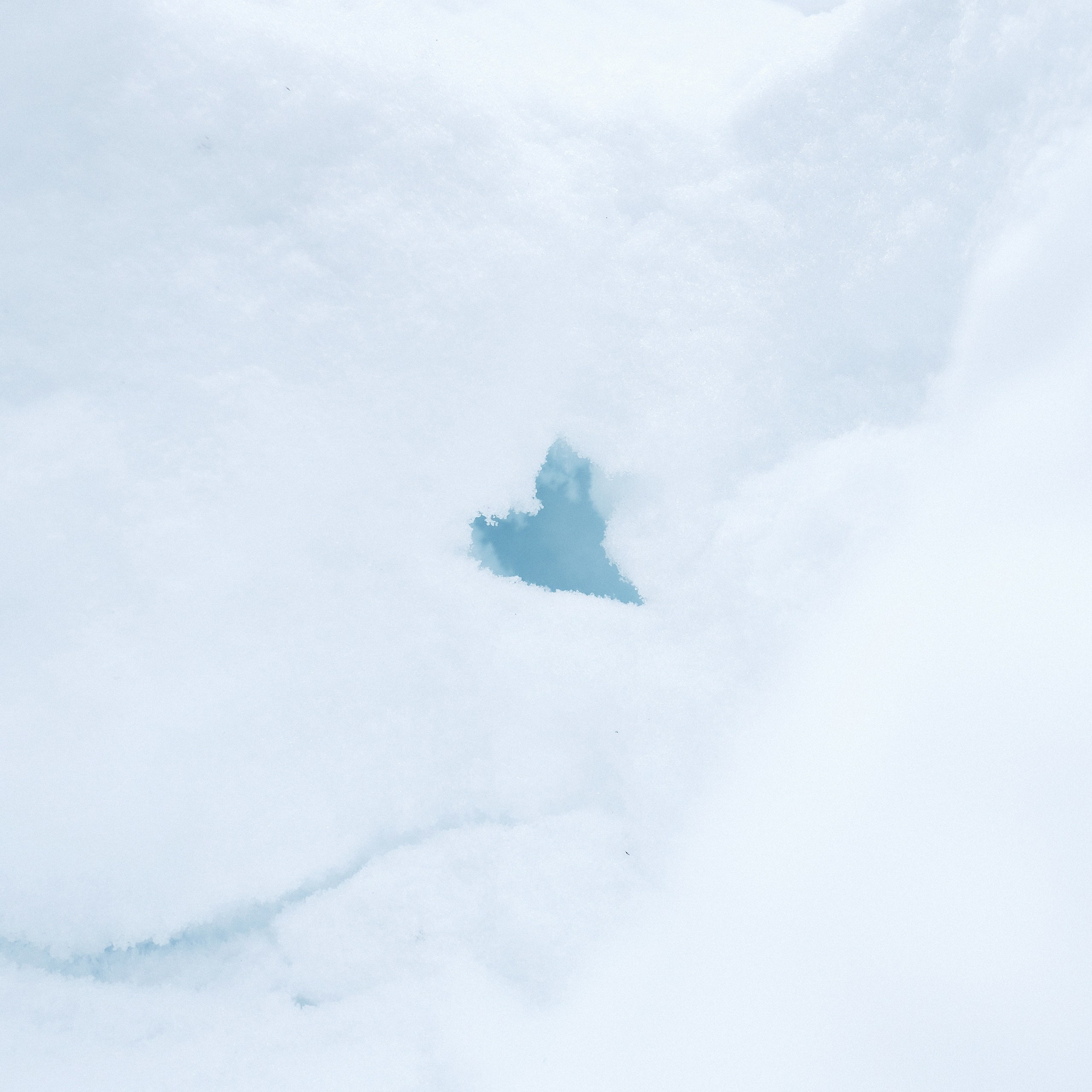 Красота в глазах смотрящего