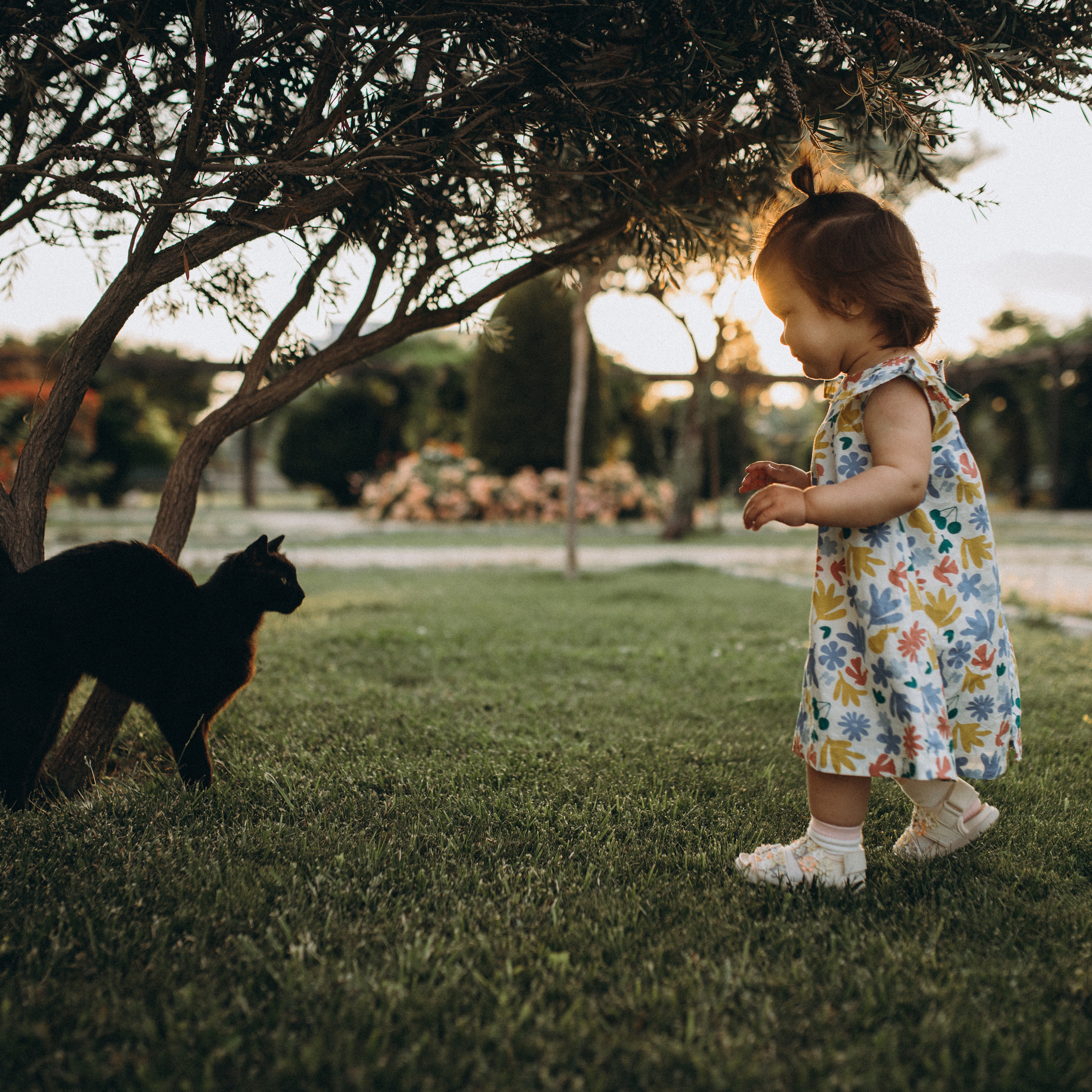Прогулка у дома Ксении, Антона и Каролины.