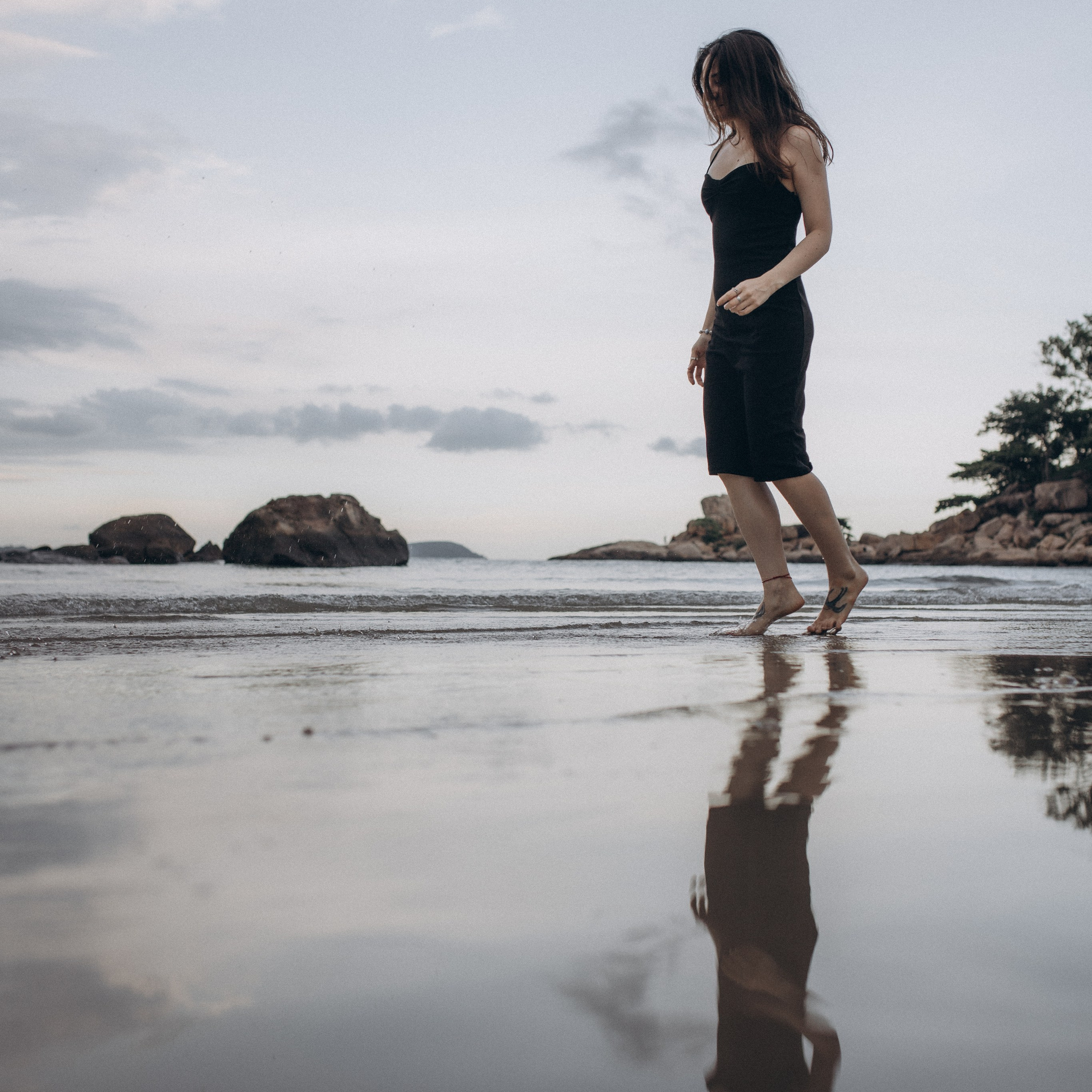 Лилия «сад камней» Вьетнам