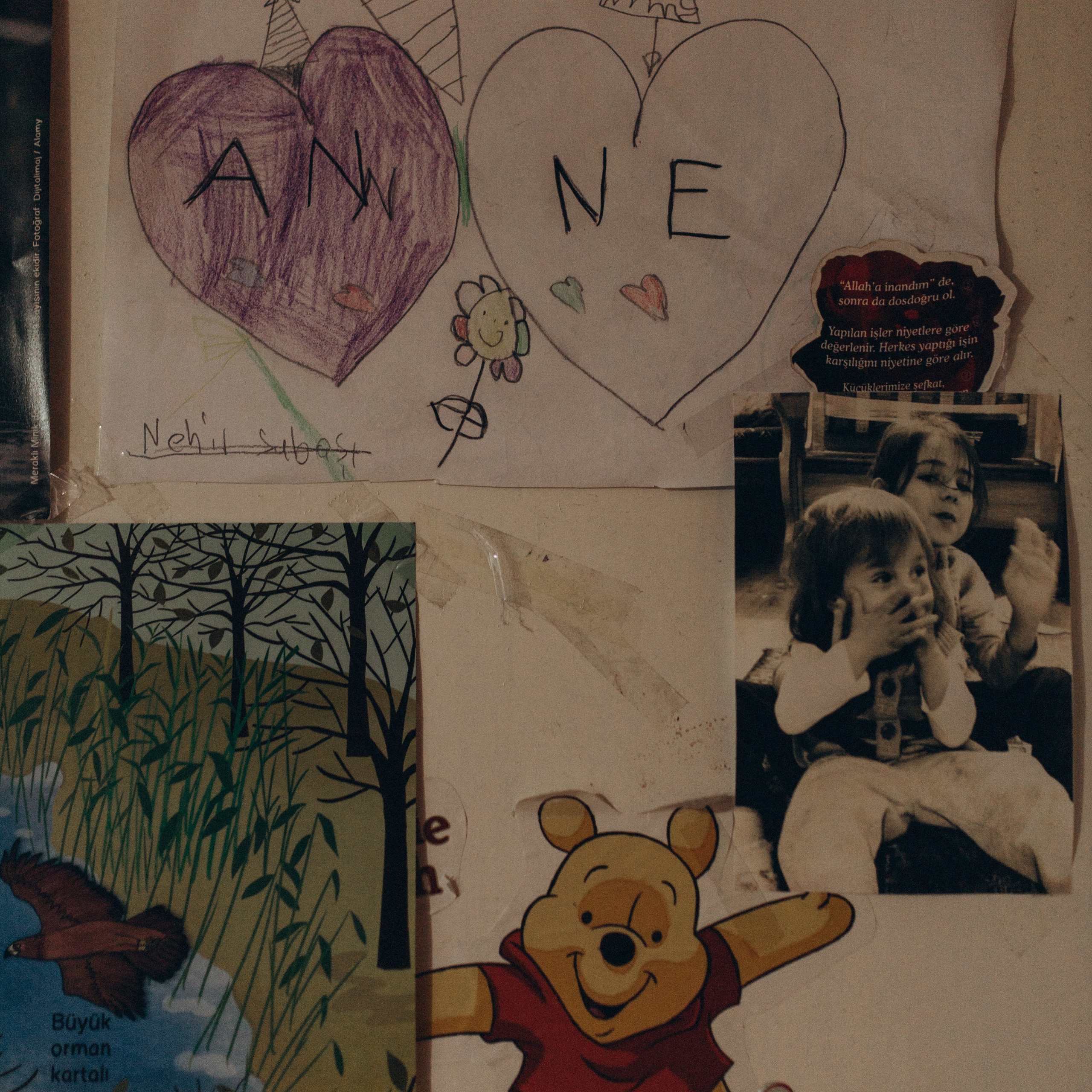 Отзывы. Главная