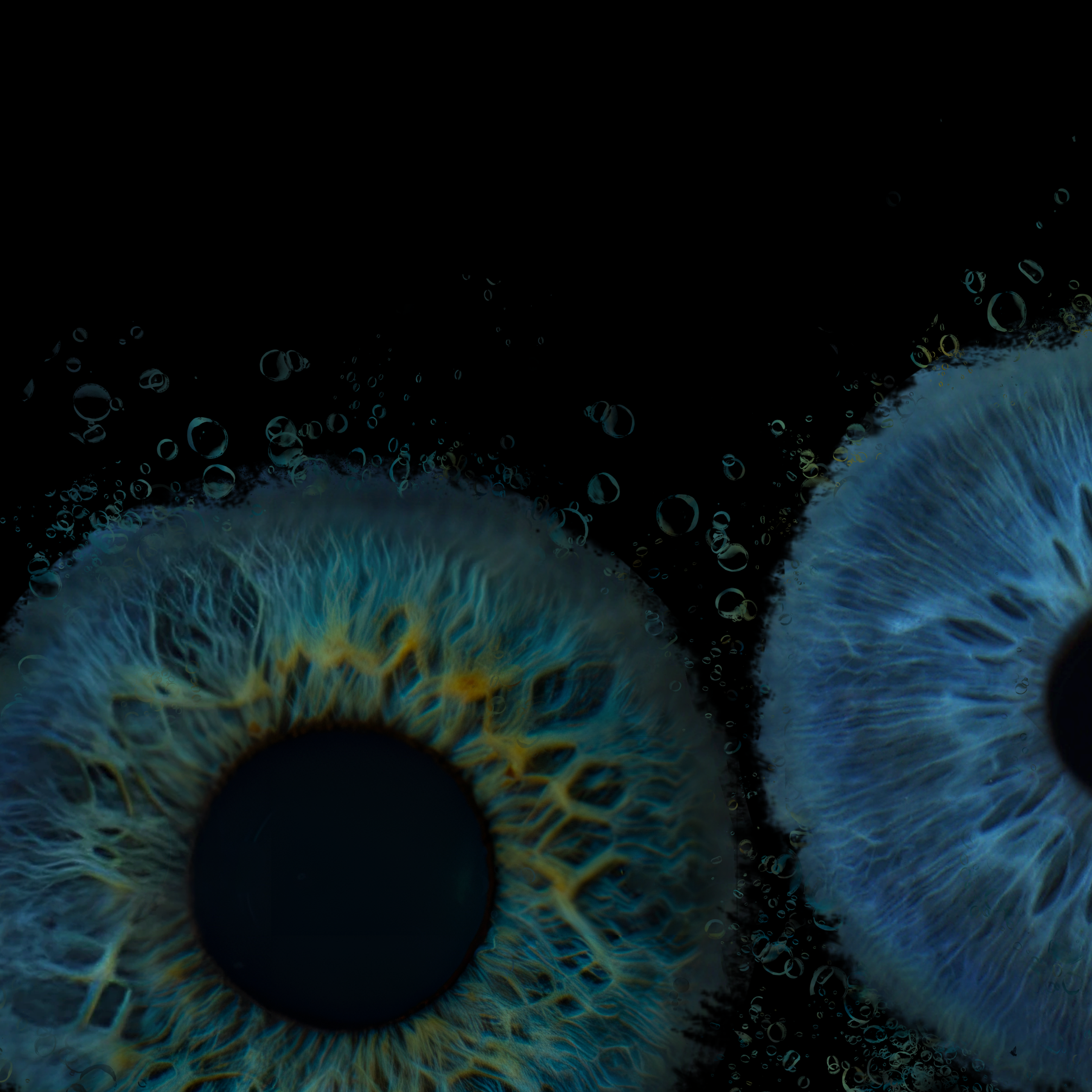 Виолетта 11021600