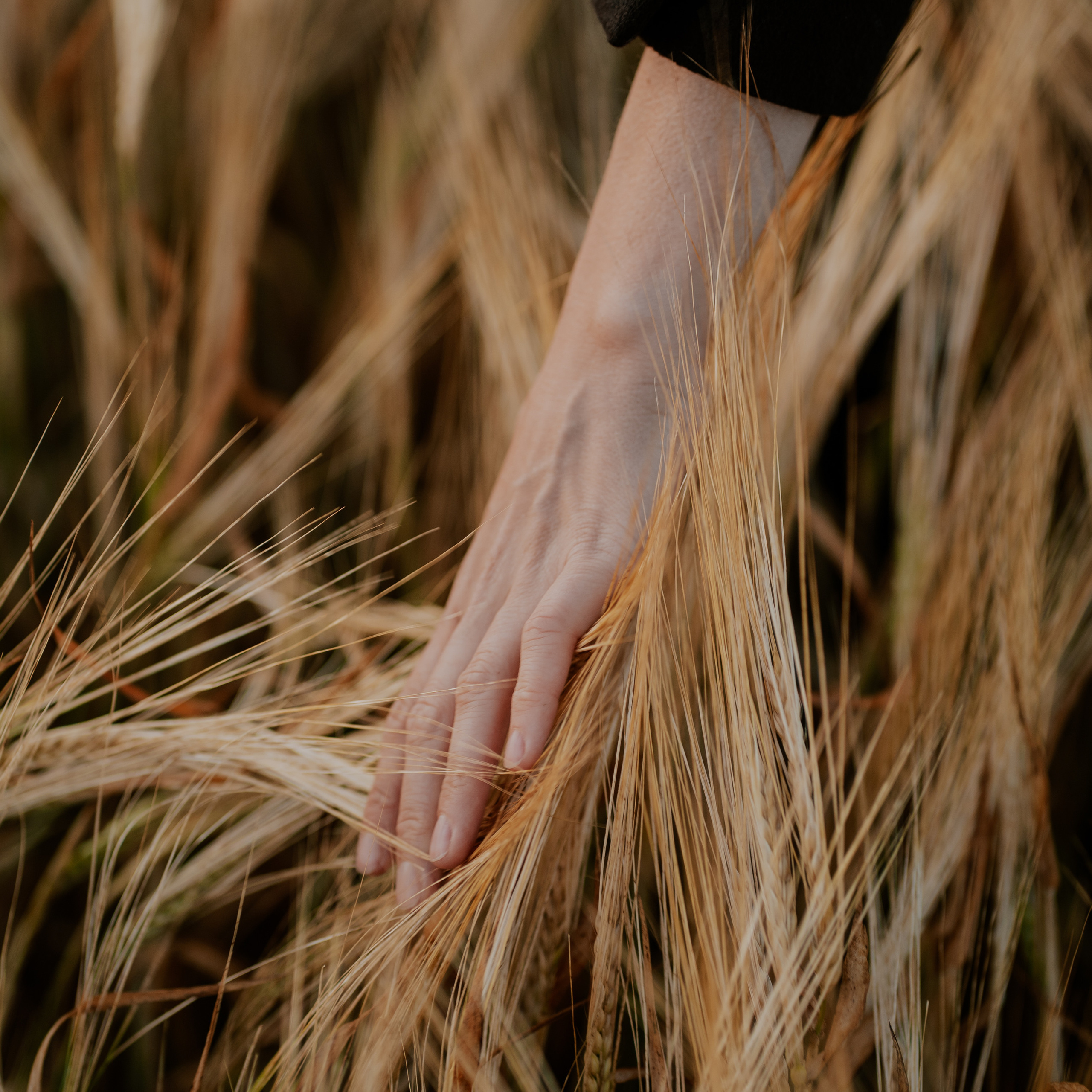 Отзывы. Бережный фотограф в Москве Лизавета Прахова
