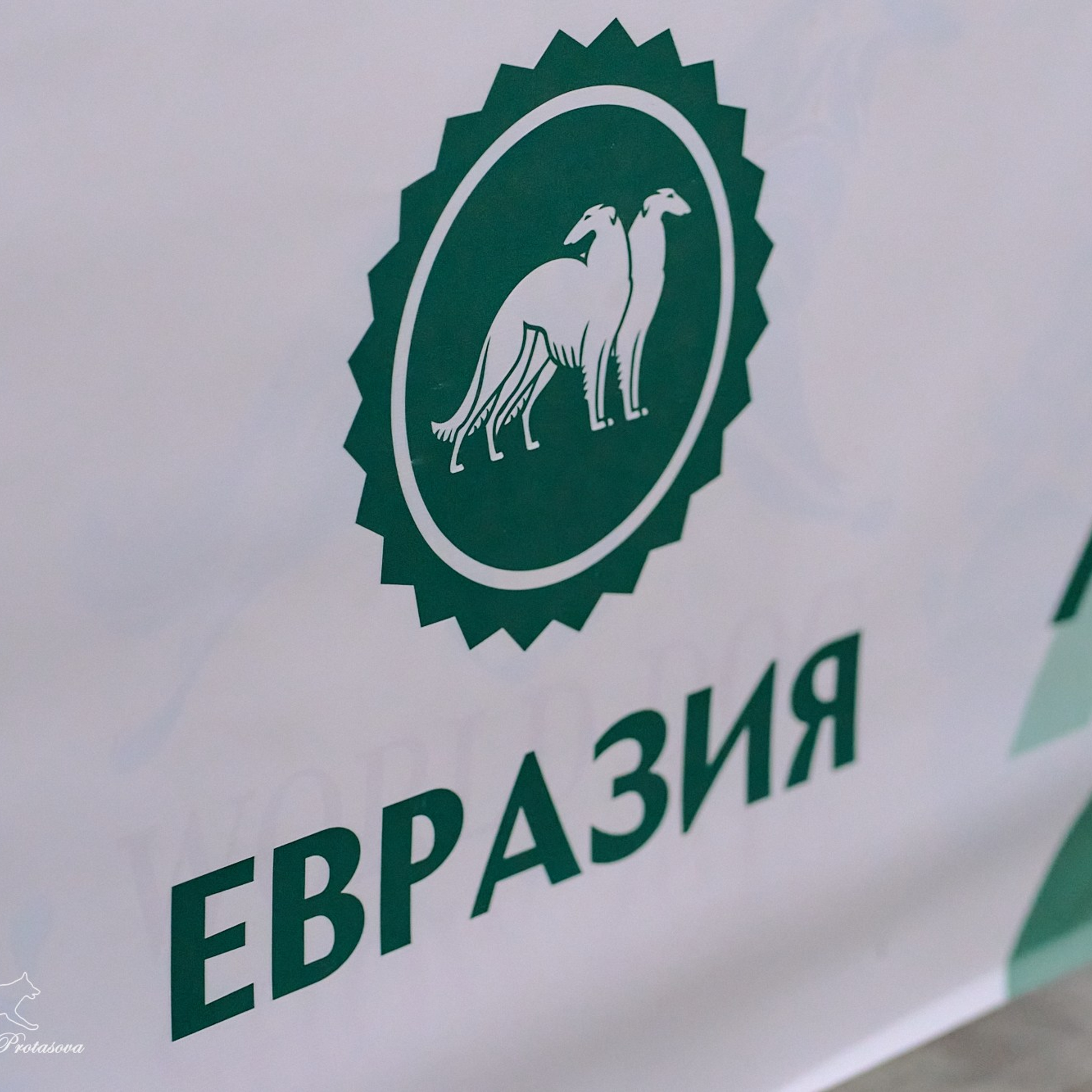 Евразия — 2024