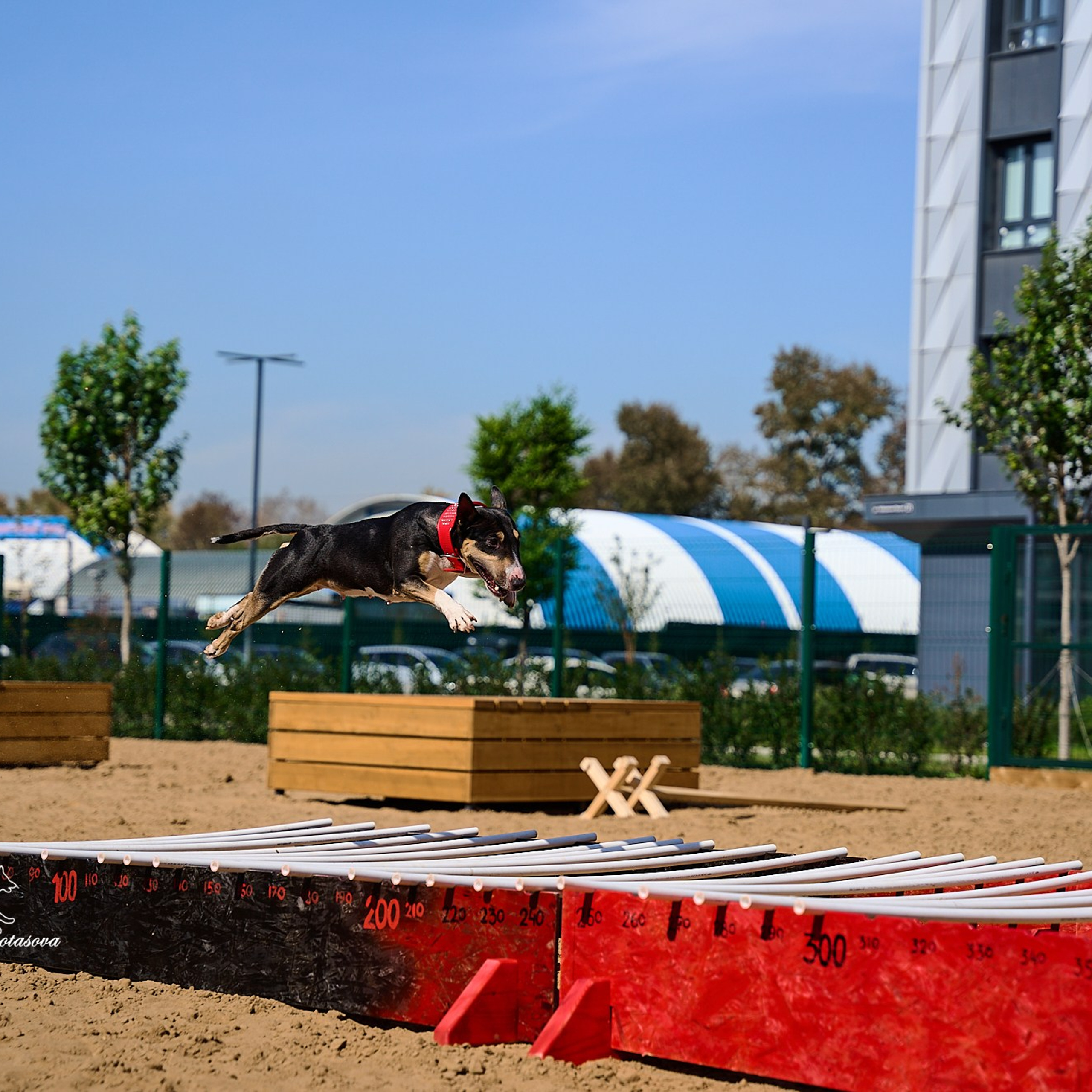 Питстафф многоборье