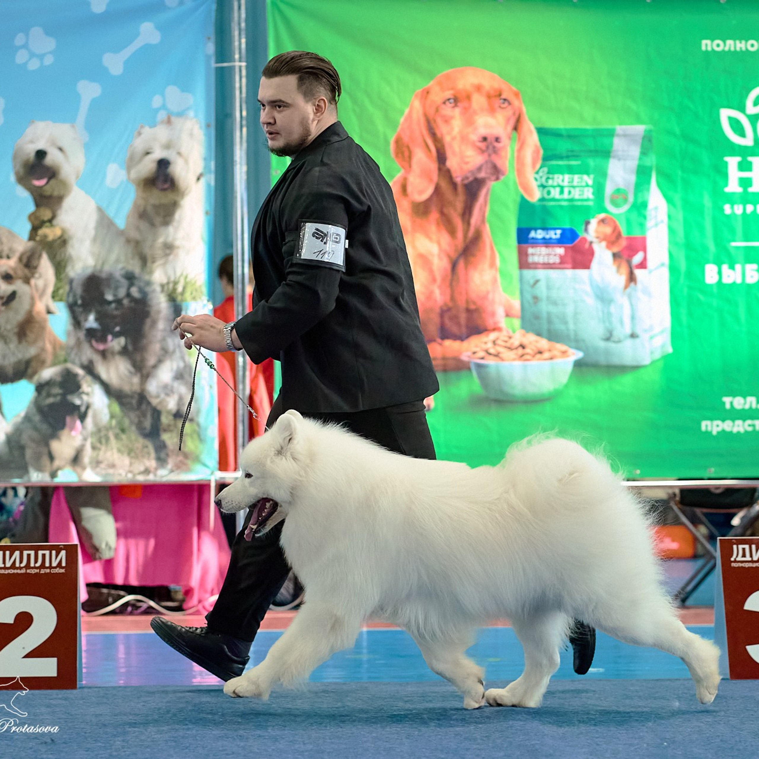 Отзывы. Фотограф-анималист в Иркутске