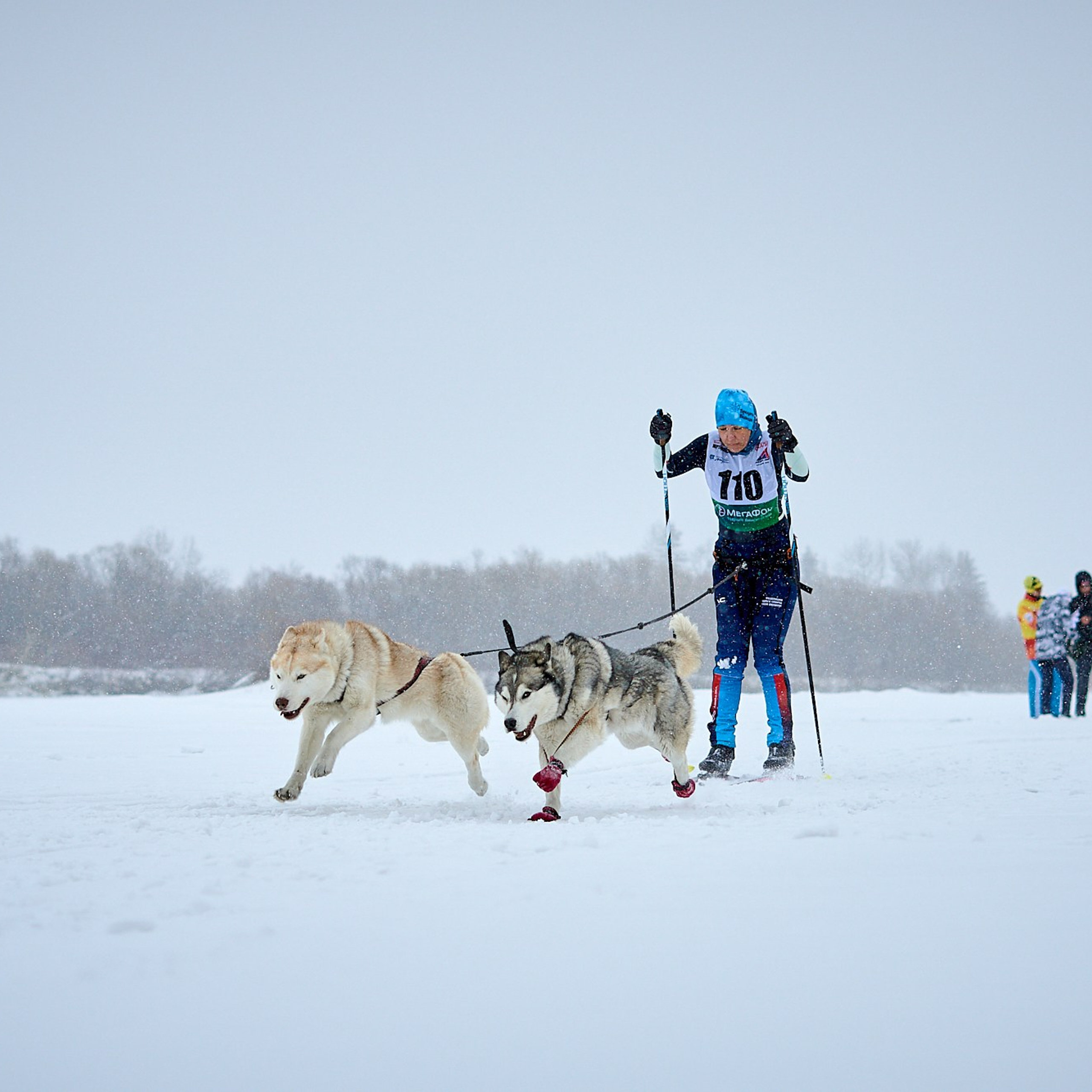 Соревнования по скиджорингу