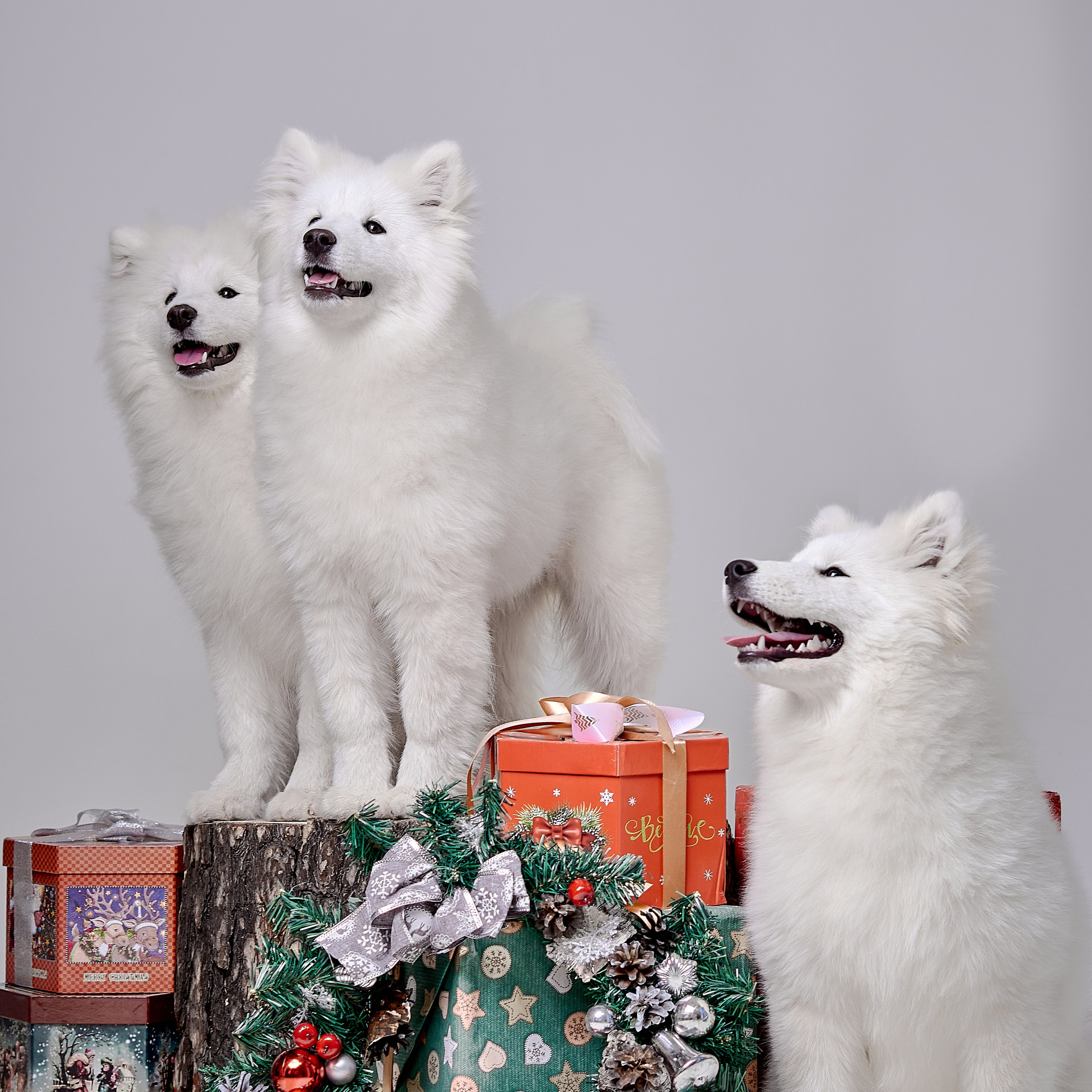 Новогоднее