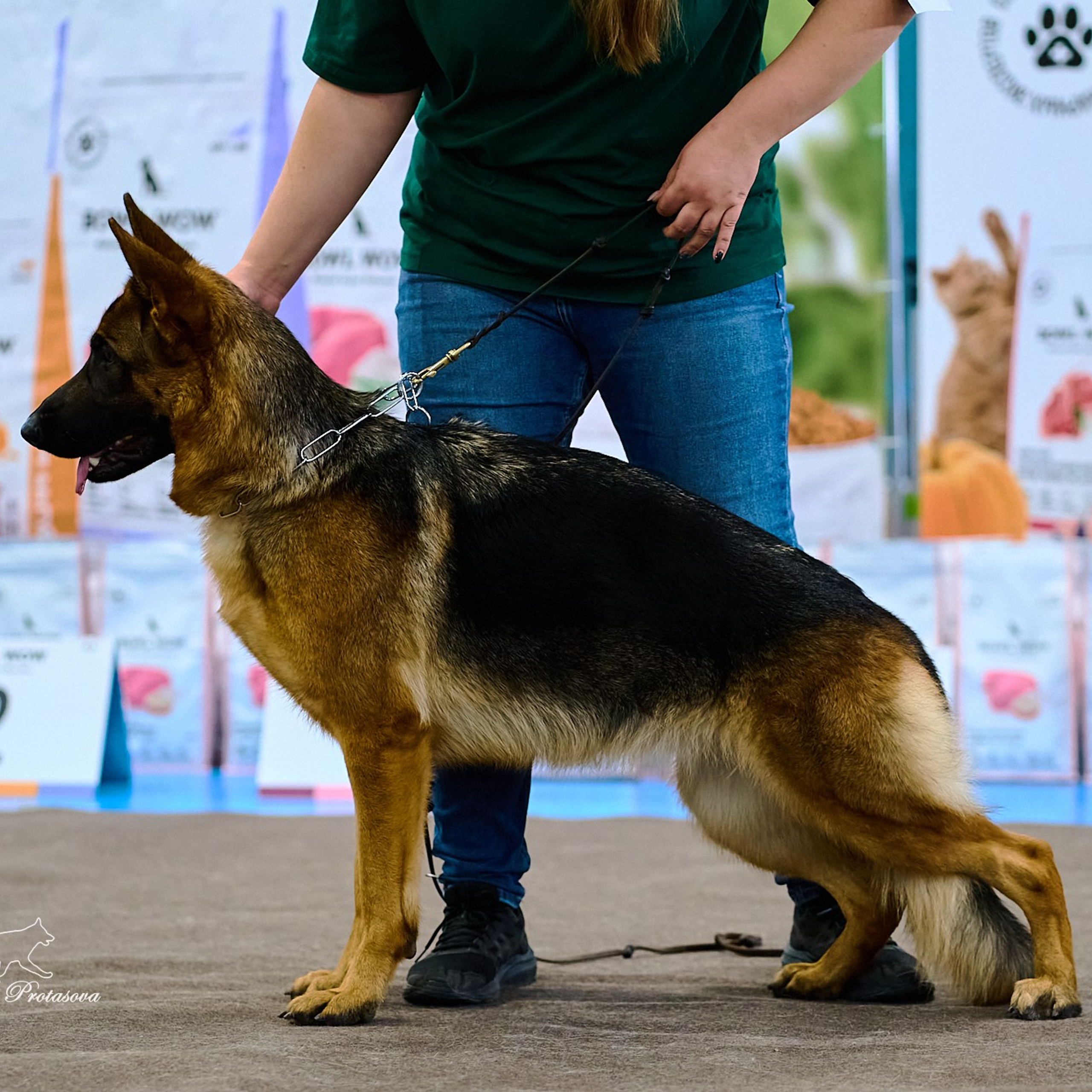 Выставки разное