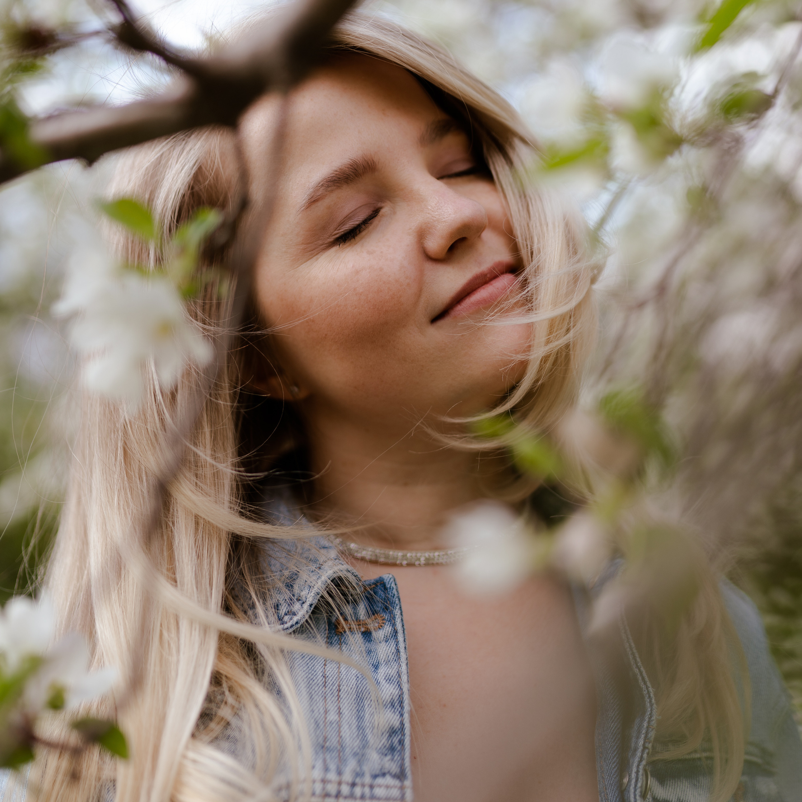 Аленка Ипатова. Цветение