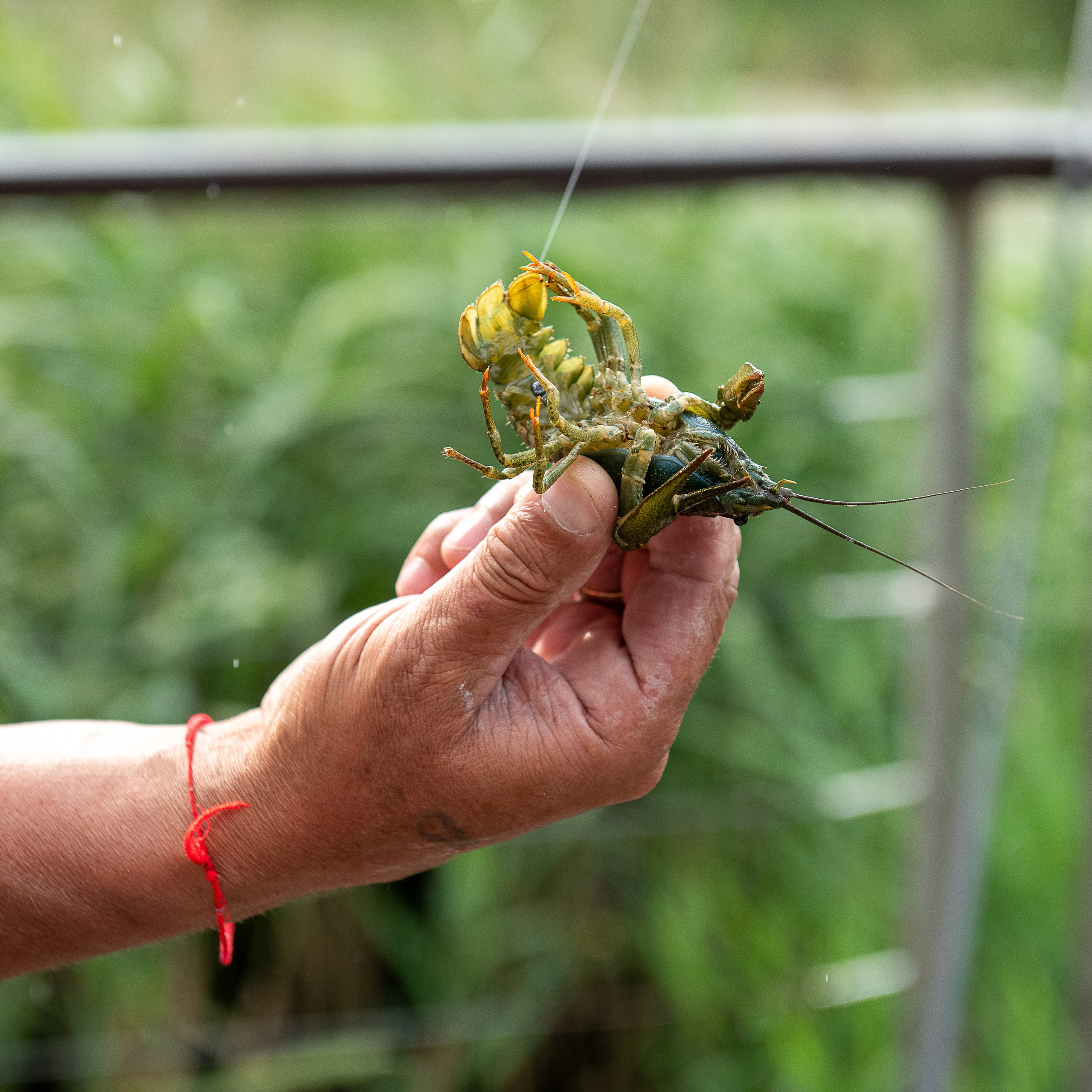 Семья Марии
