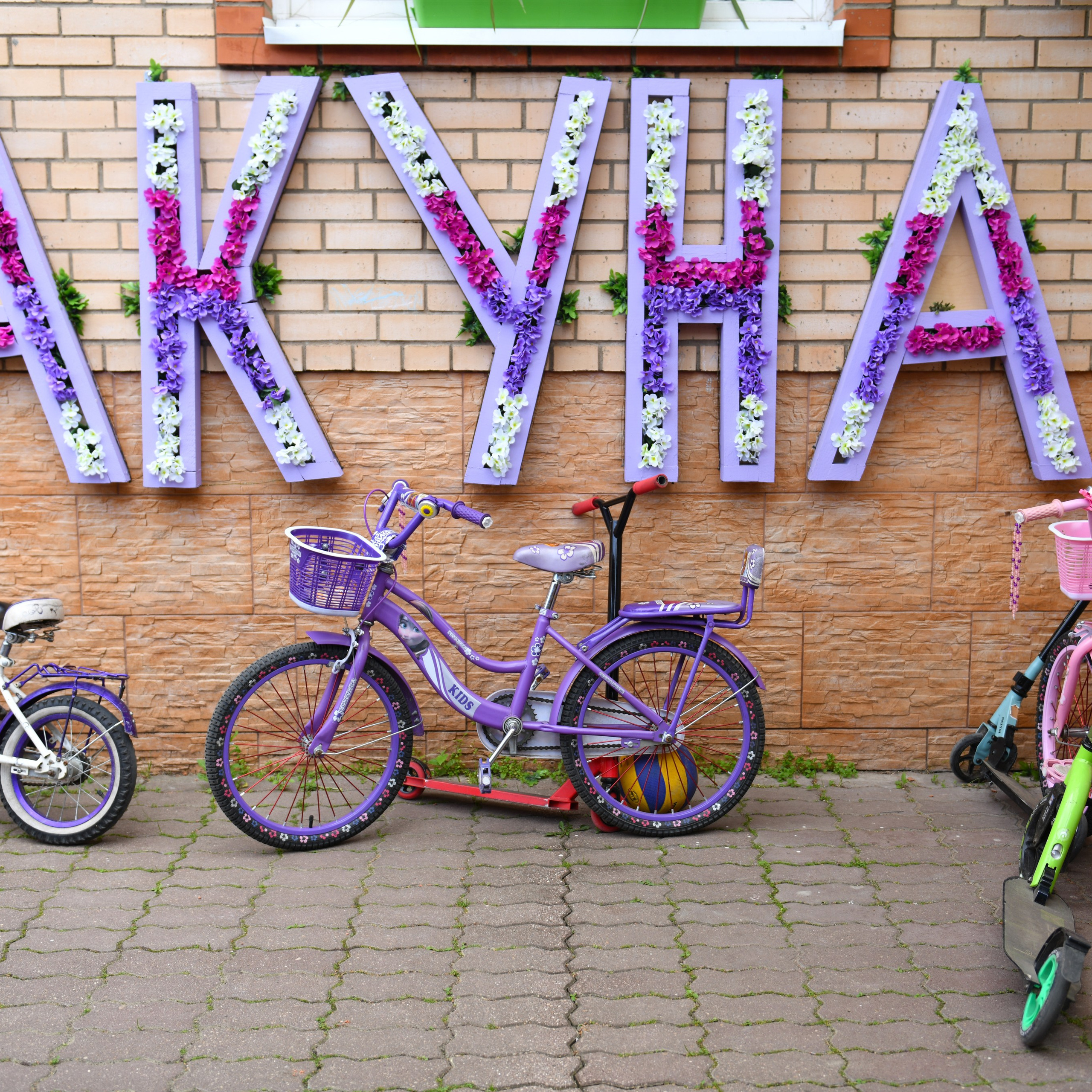 Выпуск 2025 Акуна