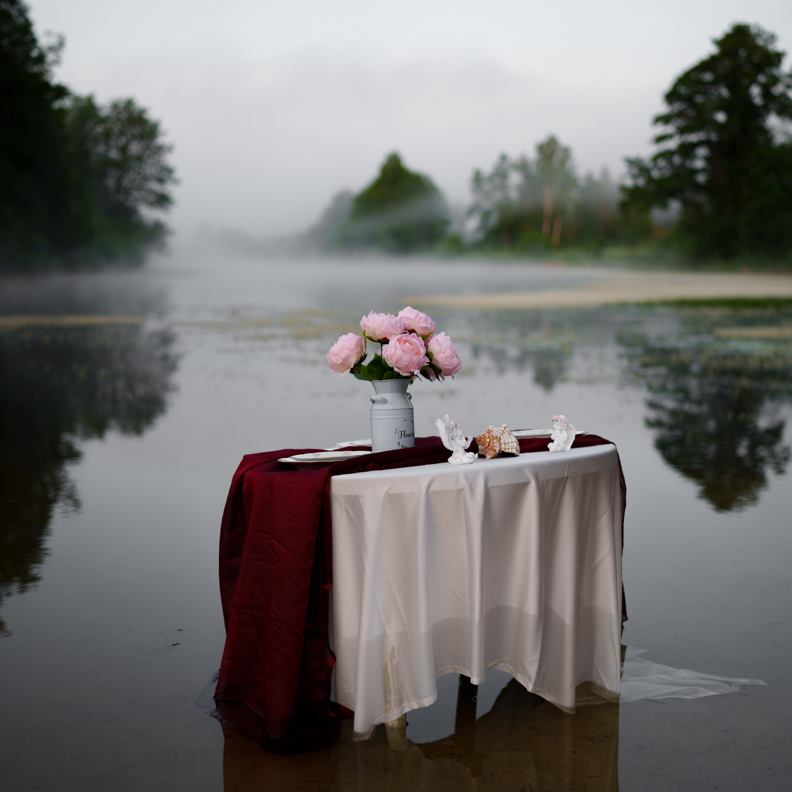Отзывы. Фотограф Вячеслав Полушкин