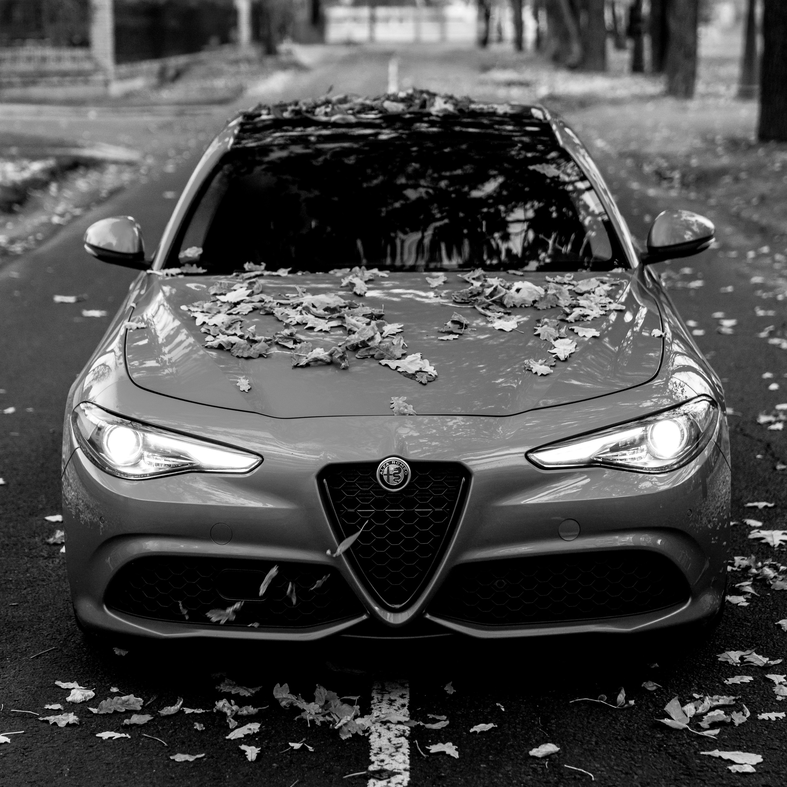 Alfa Romeo