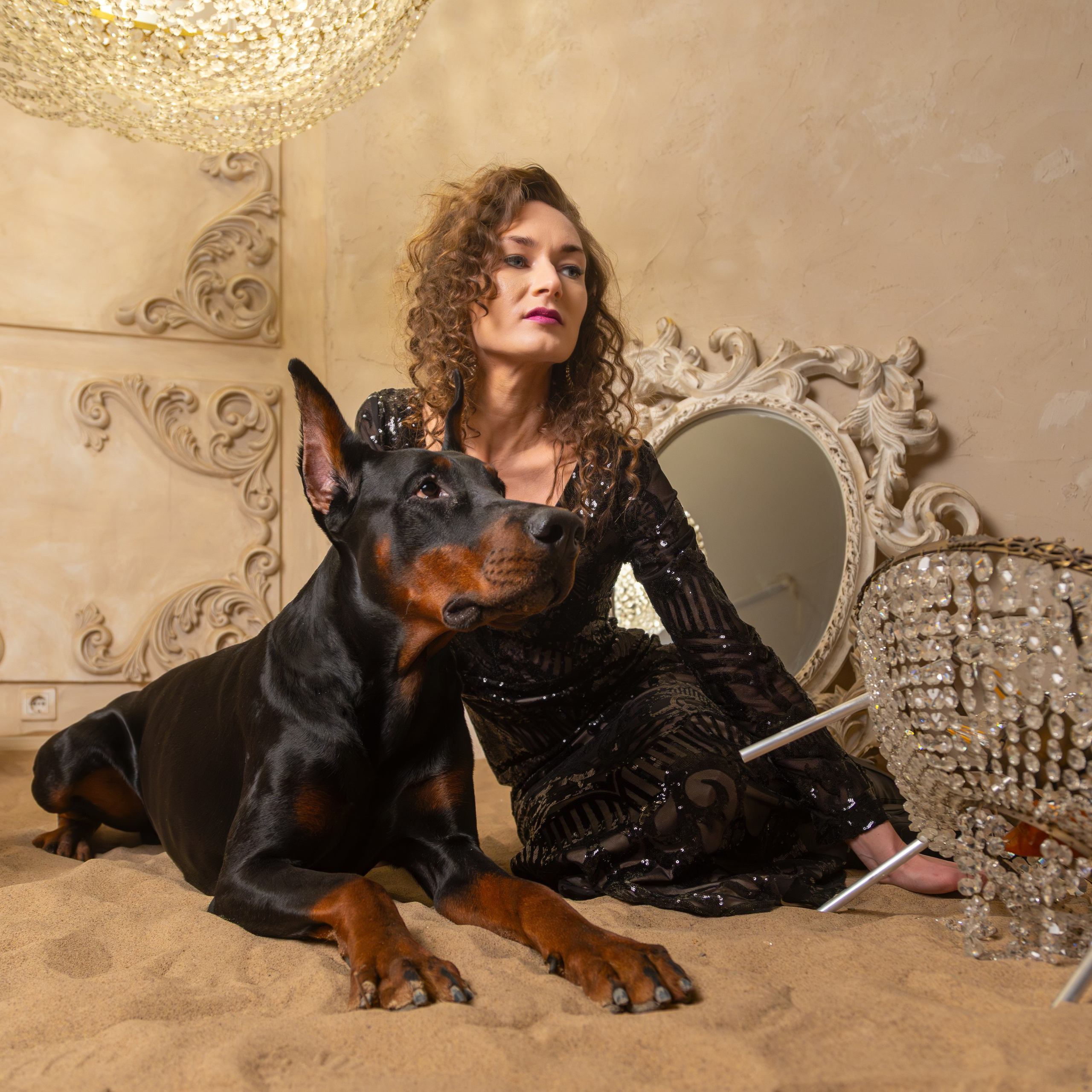 Фотодень с доберманом