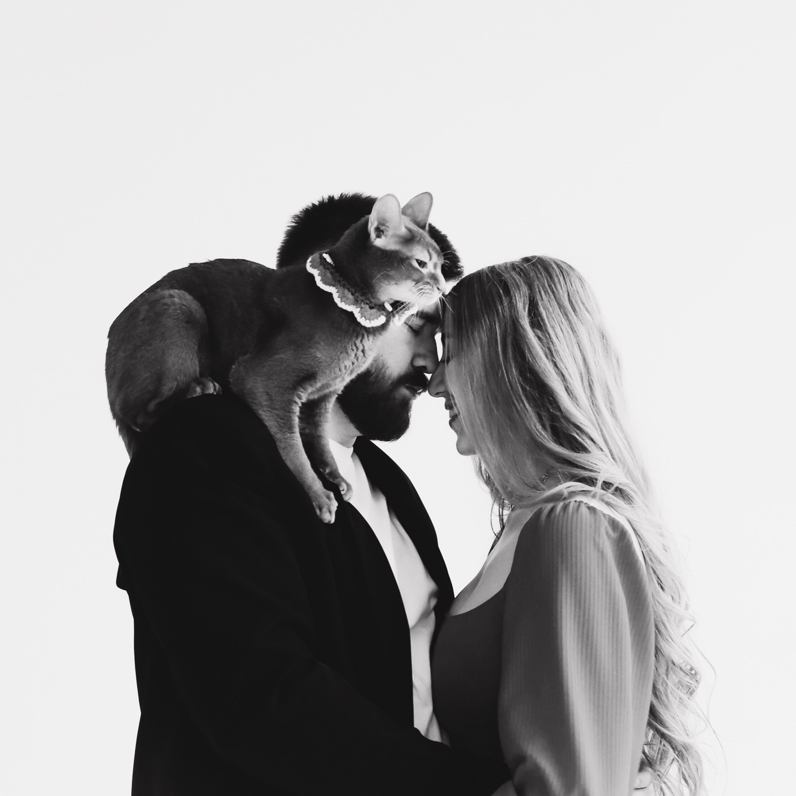 Отзывы. Портретный фотограф в Москве. Фотосессии с собаками