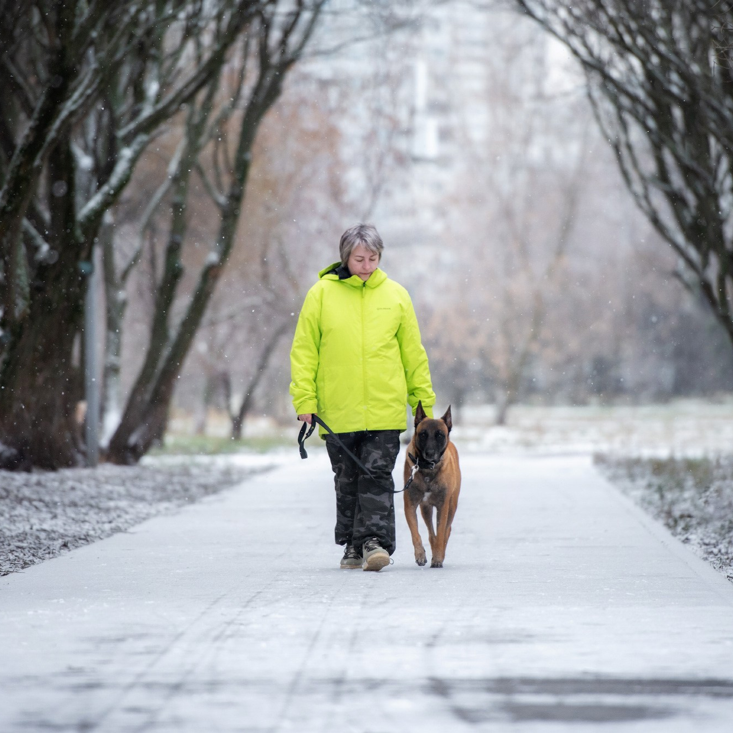 Отзывы о фотографе-анималисте в Москве. Фотограф собак в Москве и Московской области Иванушкина Мария