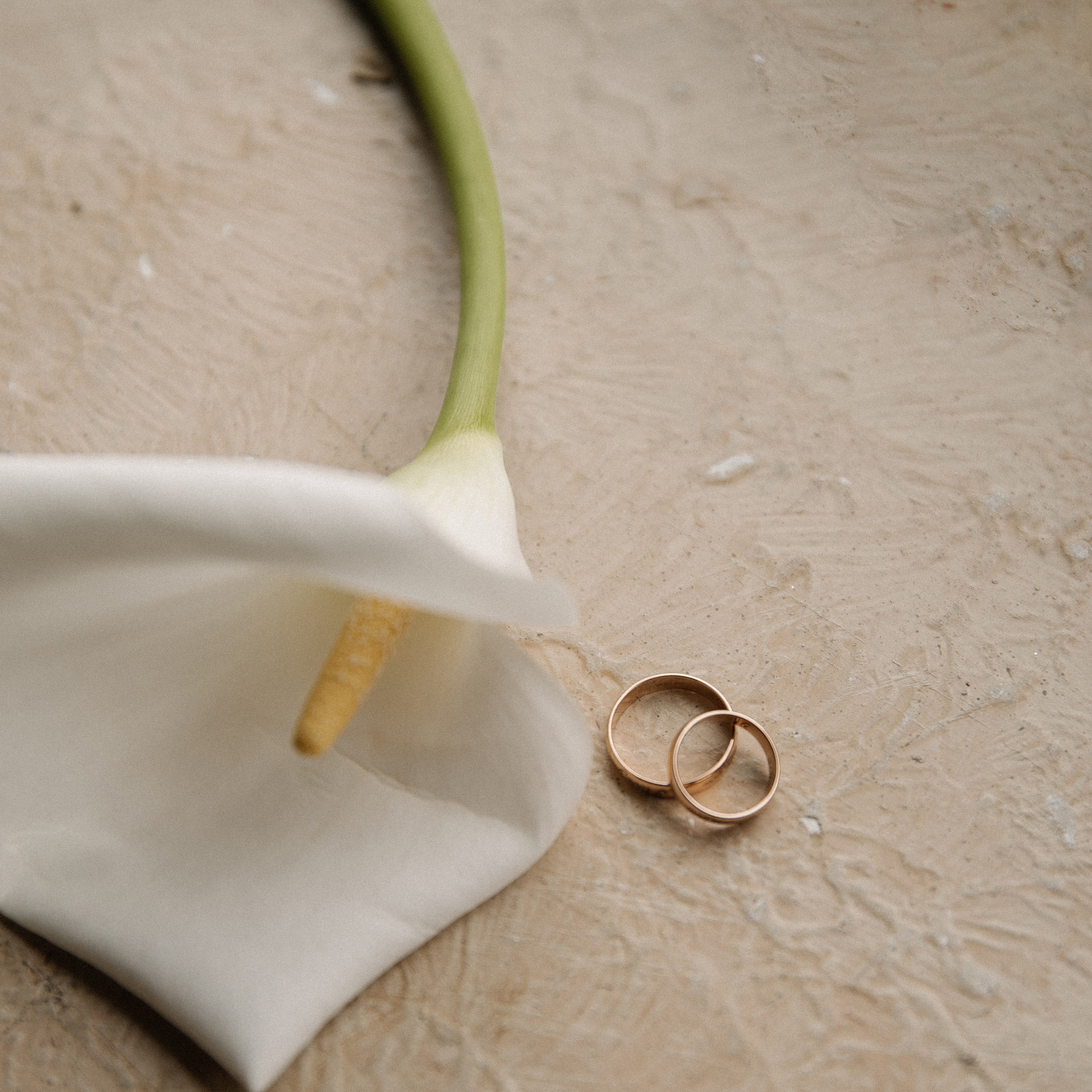 Отзывы. Фотограф в Краснодаре и Краснодарском крае