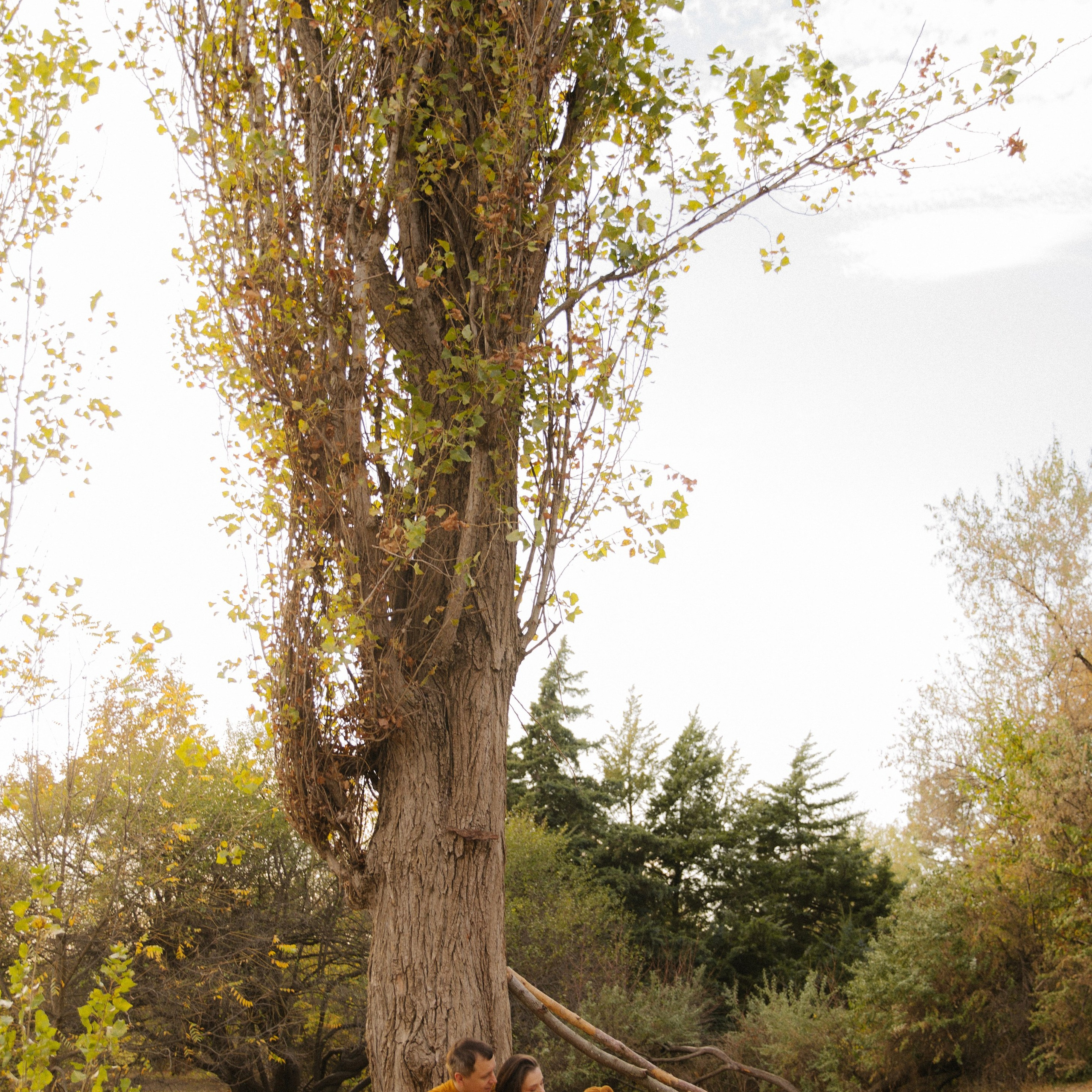 Отзывы. Фотограф в Краснодаре и Краснодарском крае