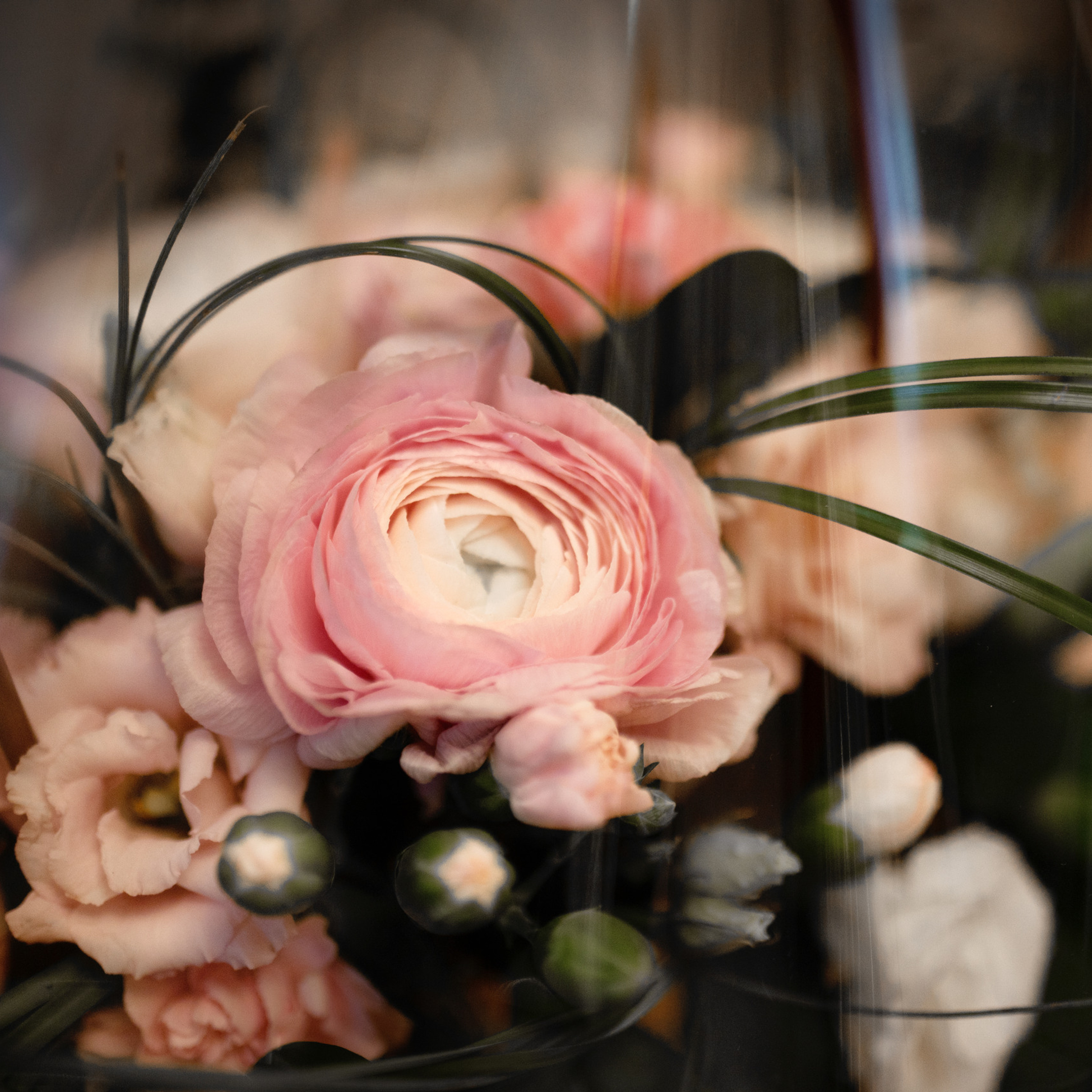 Отзывы. Детский и семейный фотограф в Москве Ульяна Федорова