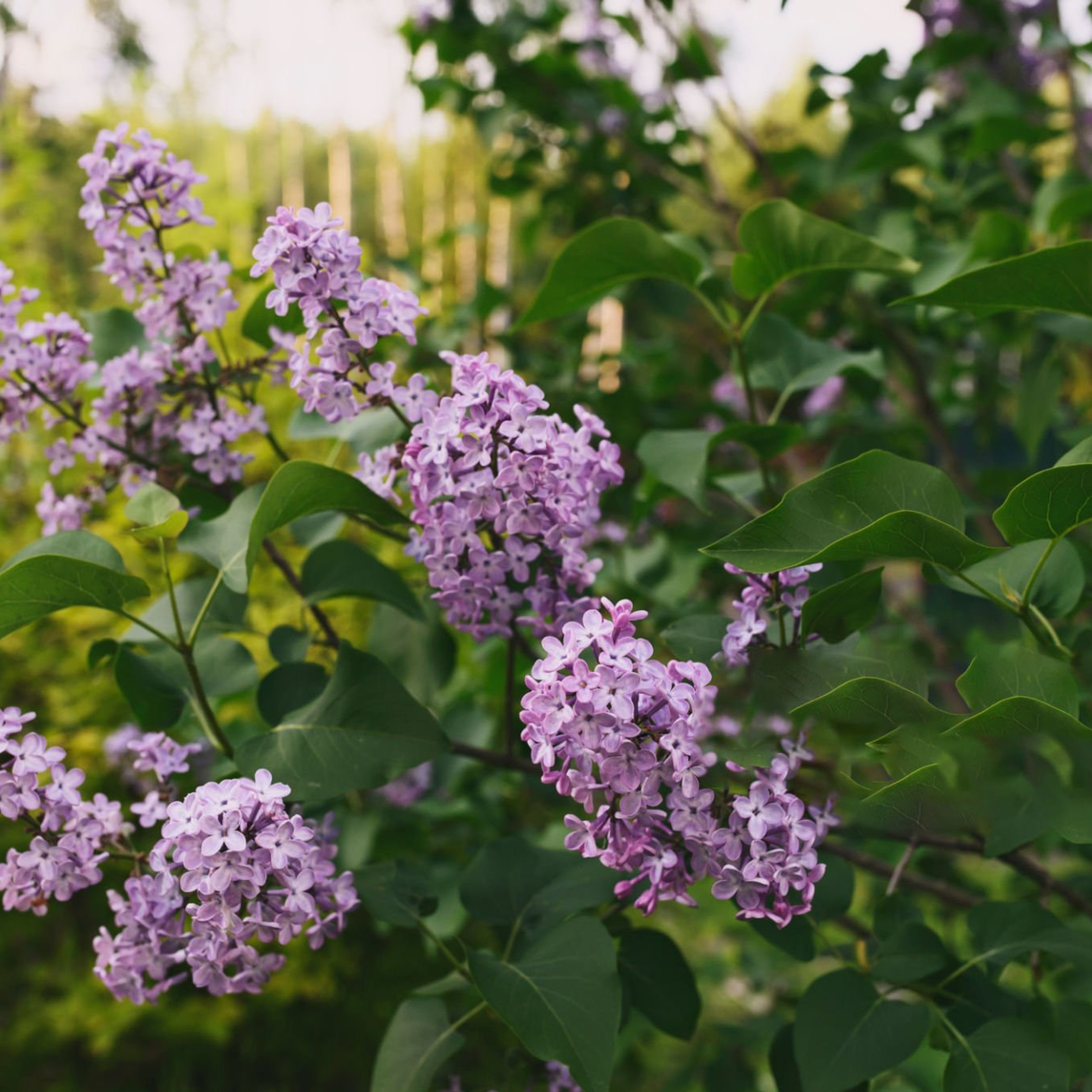 Отзывы. Детский и семейный фотограф в Москве Ульяна Федорова