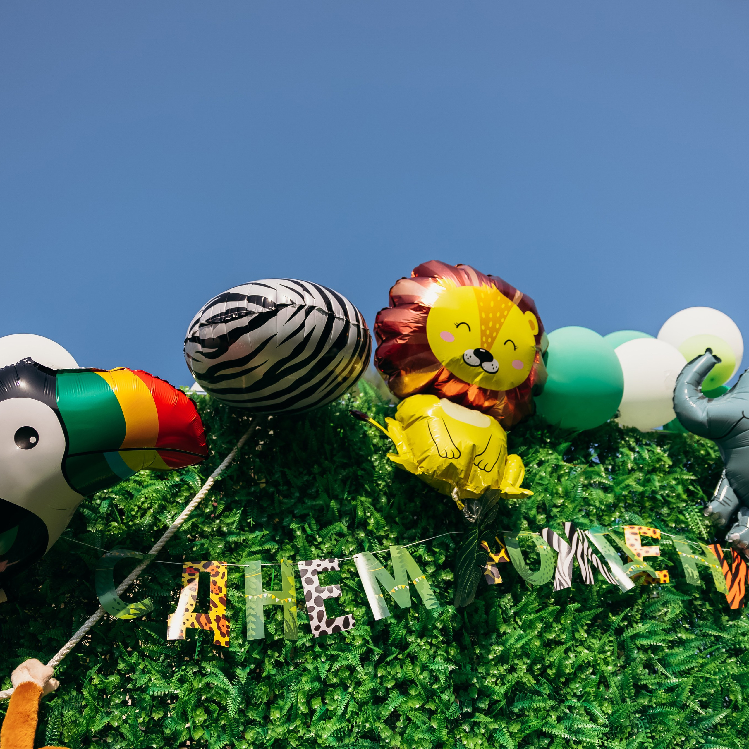 День рождения