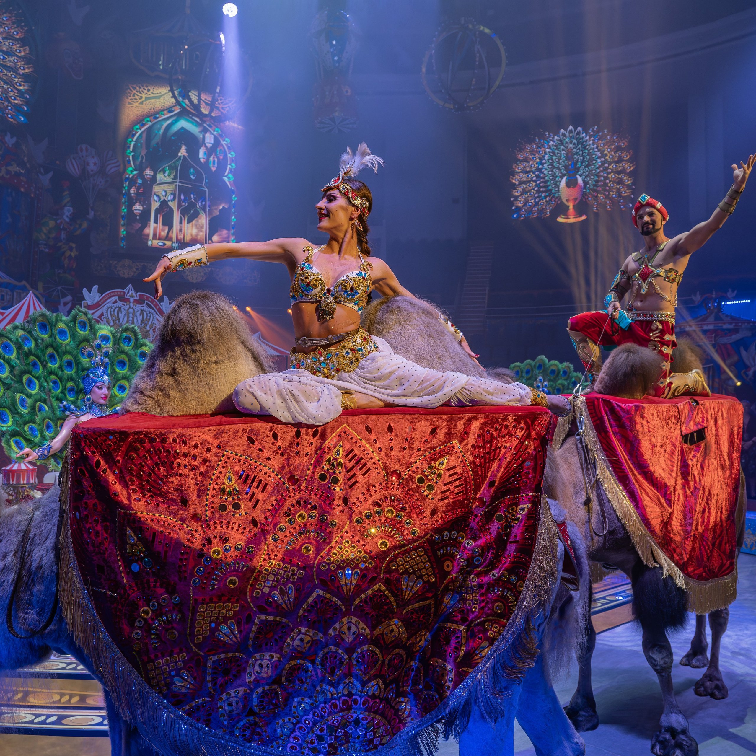 Цирк Гии Эрадзе