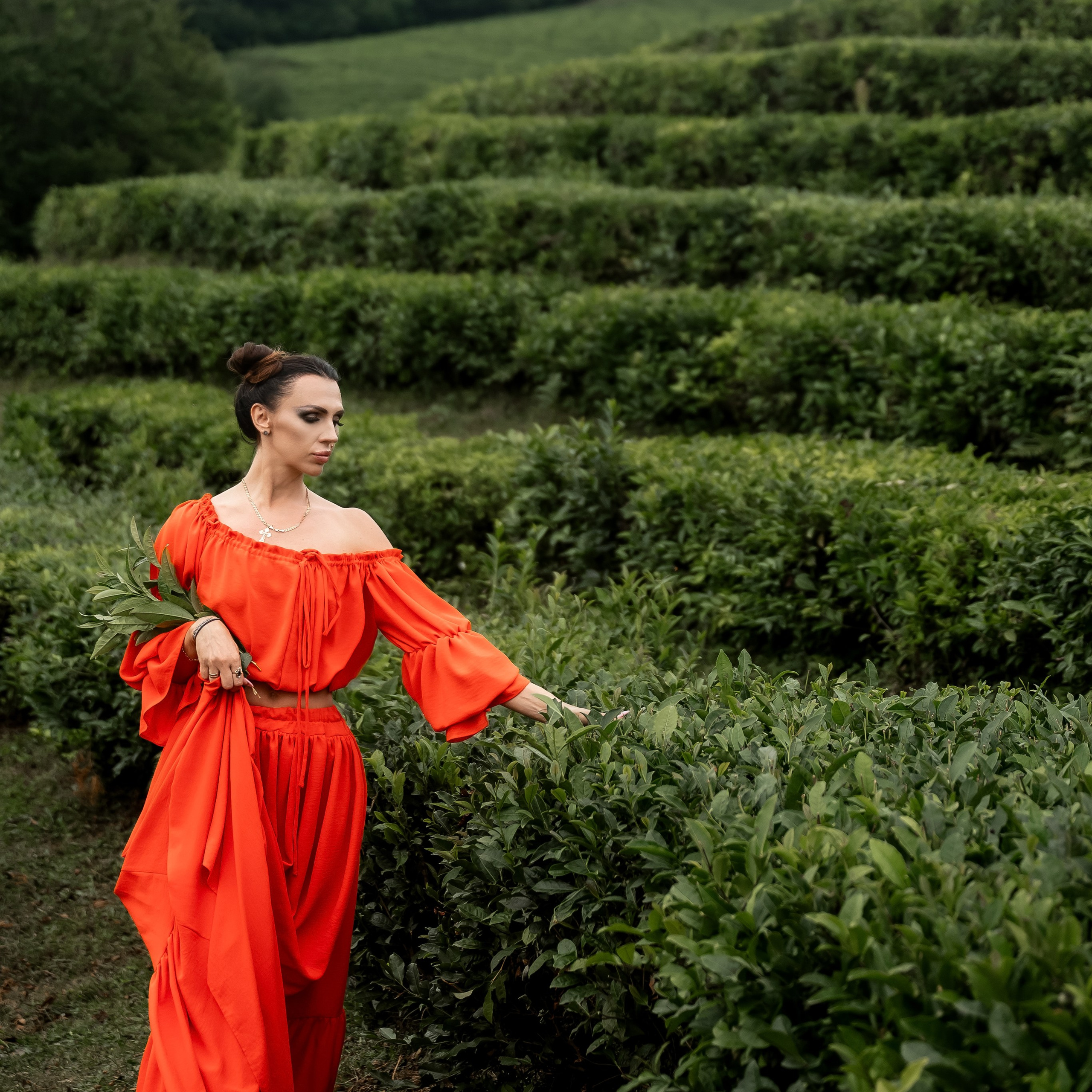 Леся чайные плантации