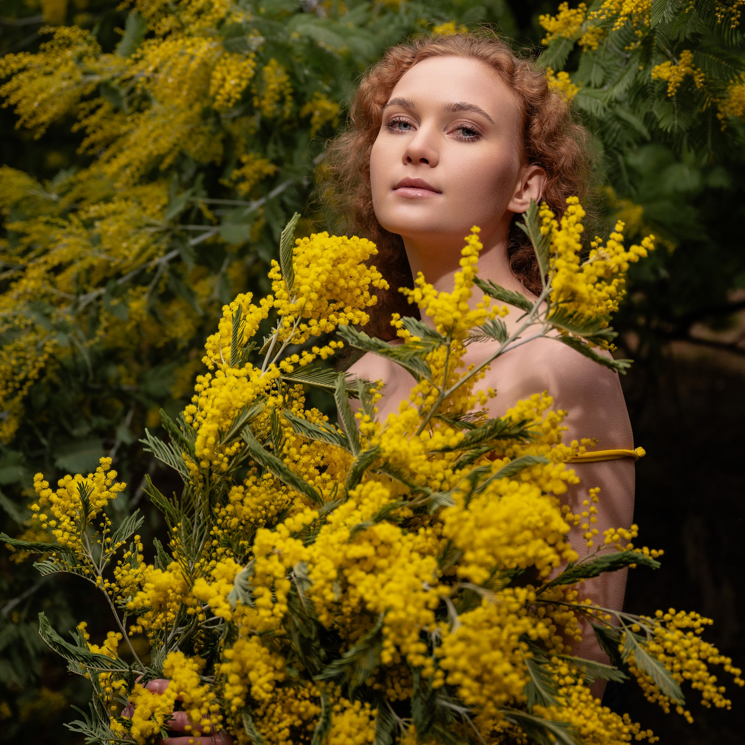 Настя мимоза