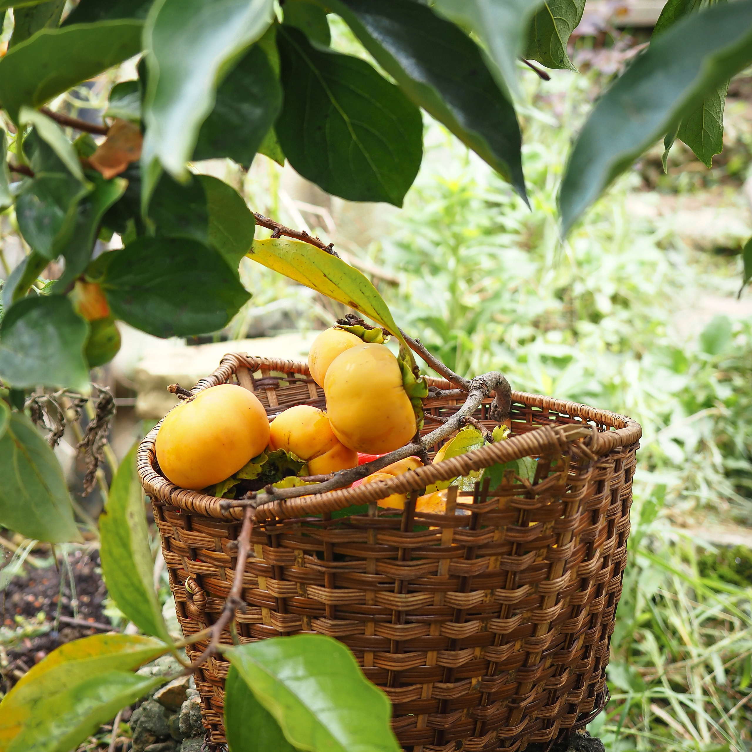 Отзывы. Фотограф в Сочи и Москве Полина Душенкова