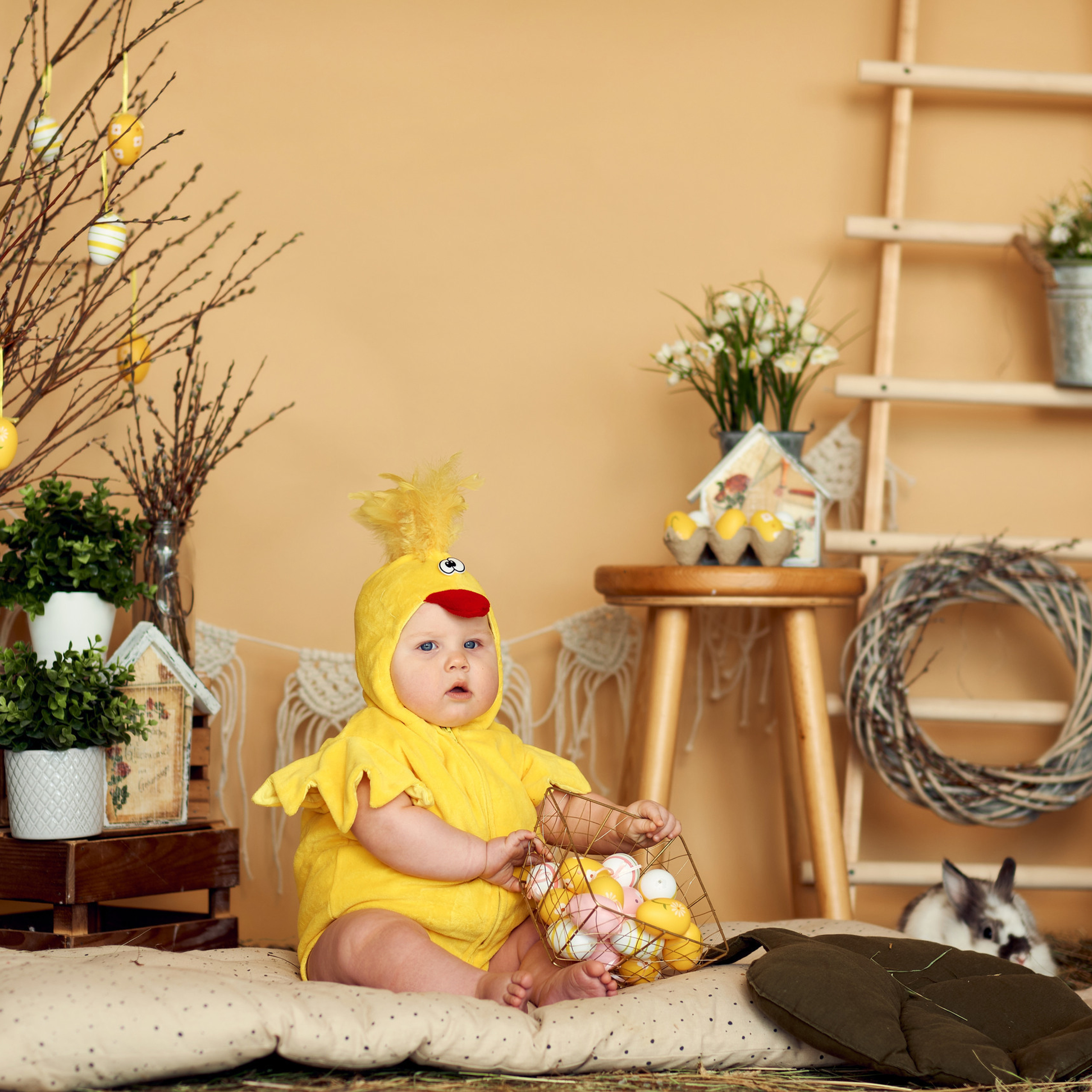 Отзывы. Свадебный и портретный фотограф Орлов Никита