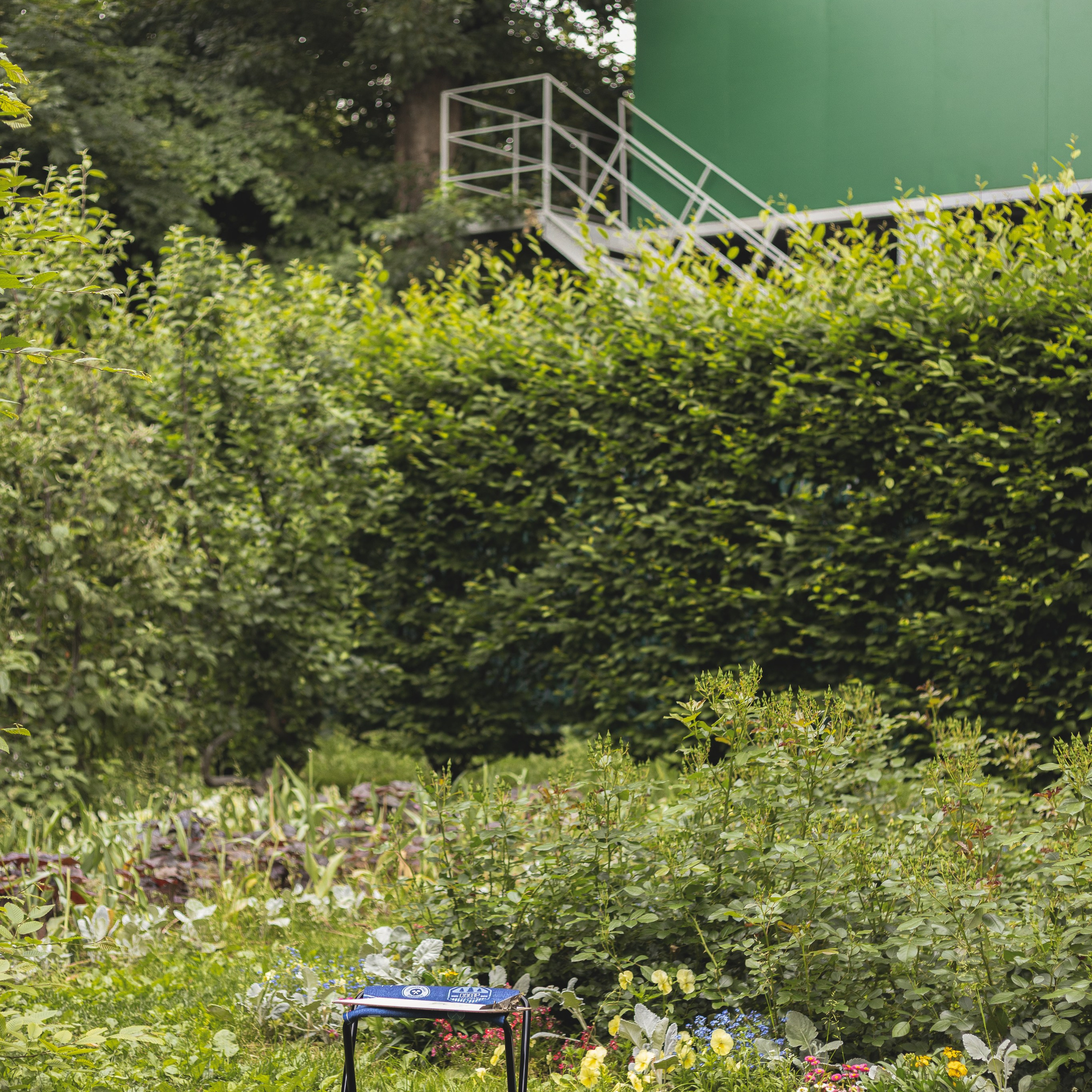 Дети на пленэре. Портретный фотограф в Москве и МО