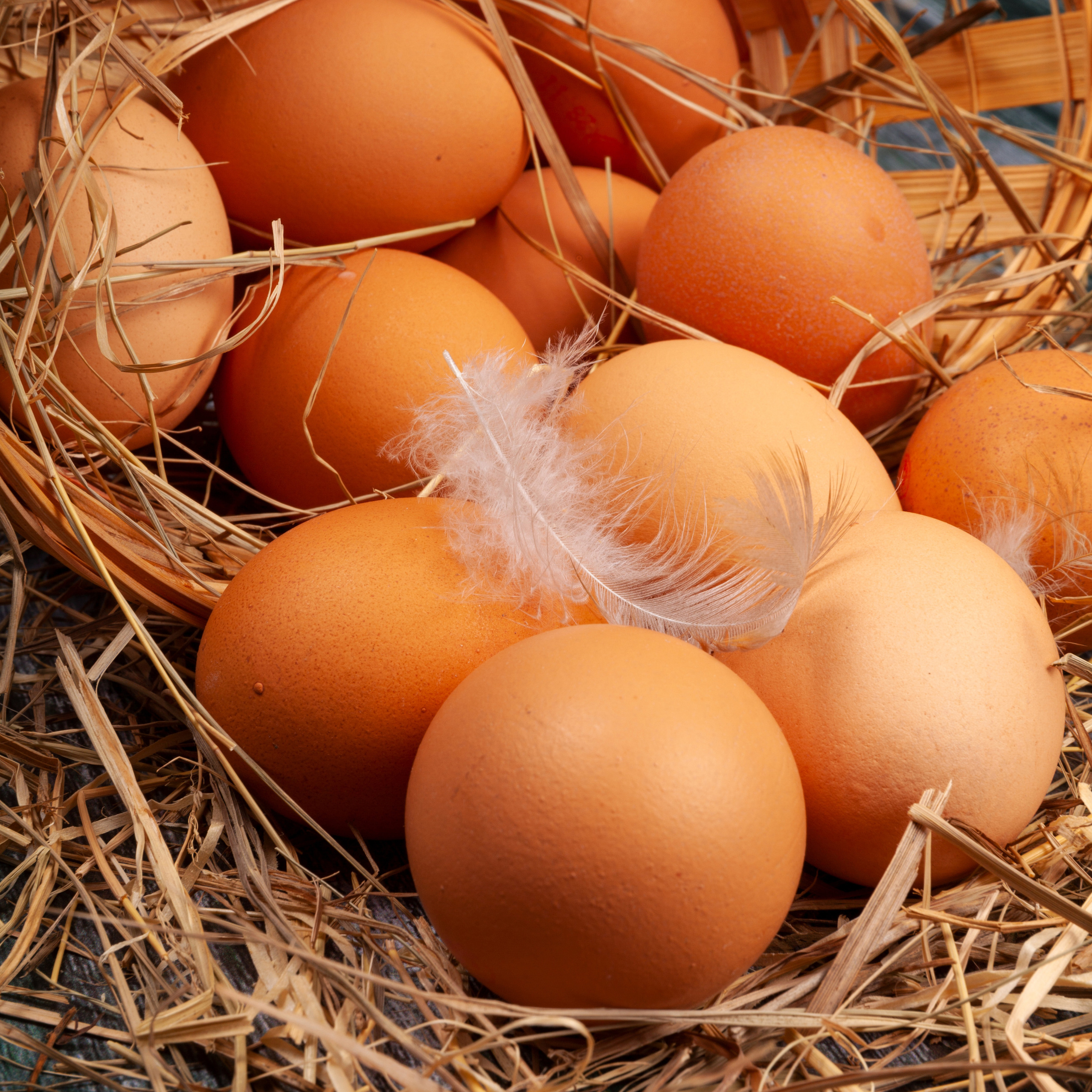 Фудсьемка. Главная