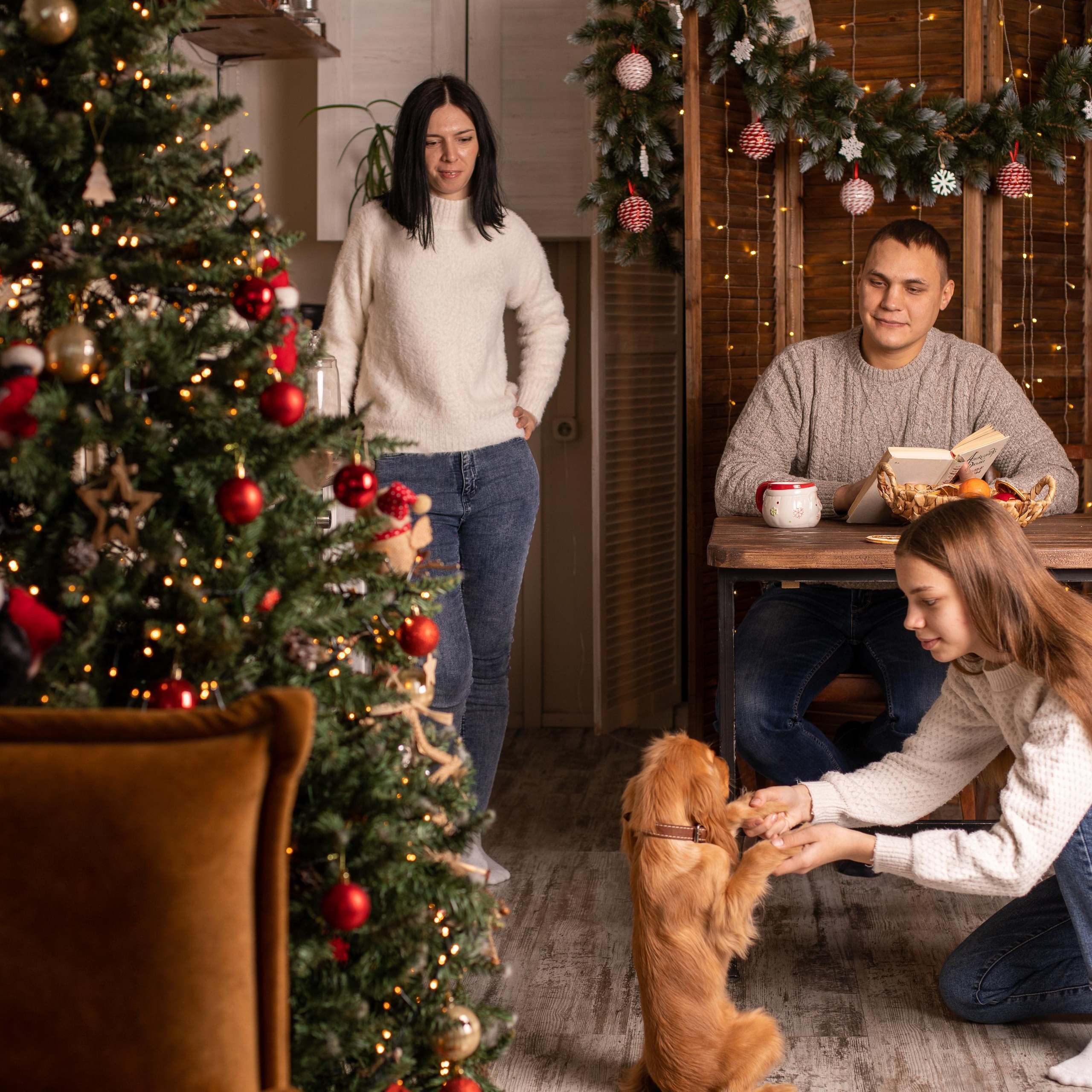 Сказочный фотограф Анна Захарова. Женский семейный фотограф Тула Москва Захарова Анна