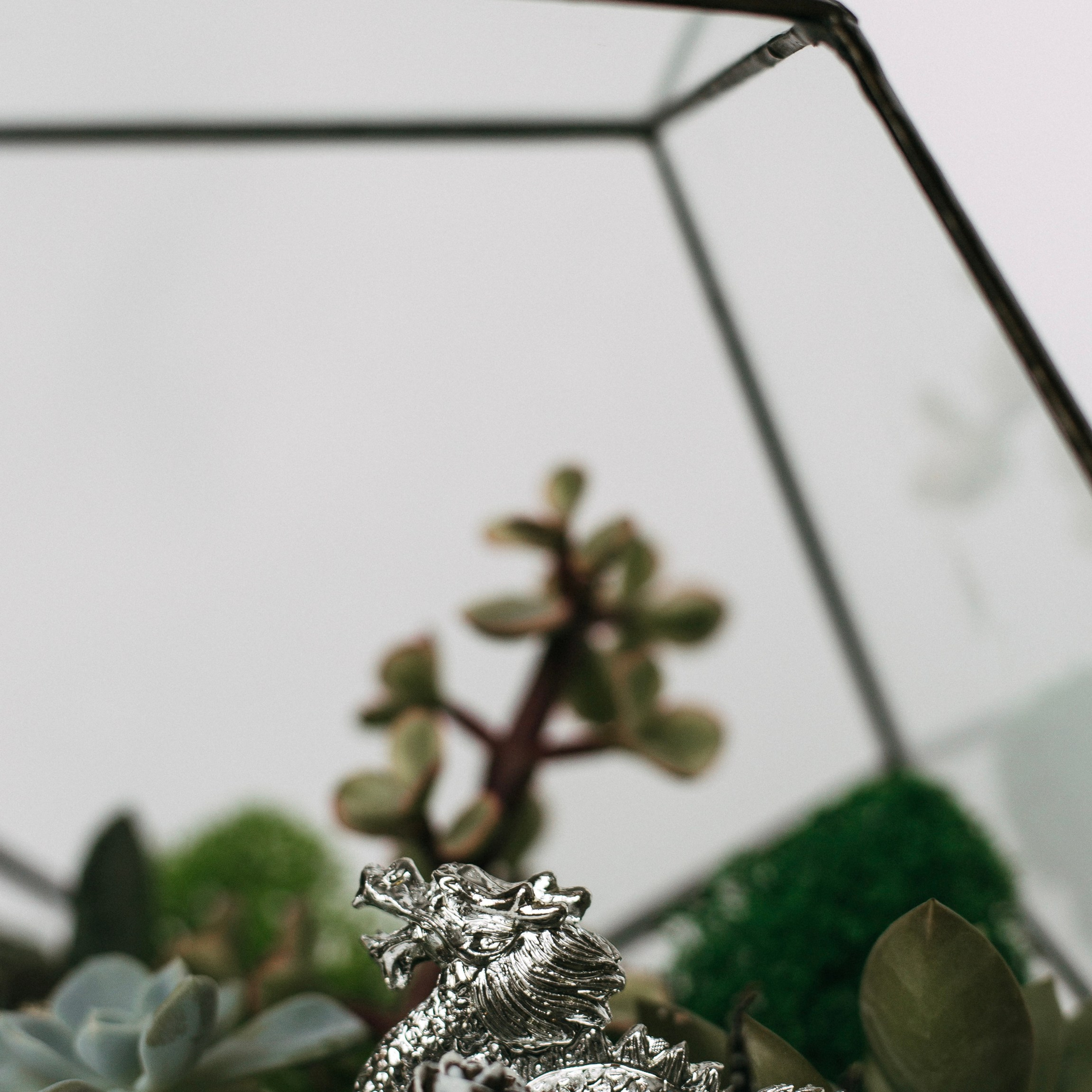 Предметная съёмка. Анастасия Вернигорова- фотограф в Омске