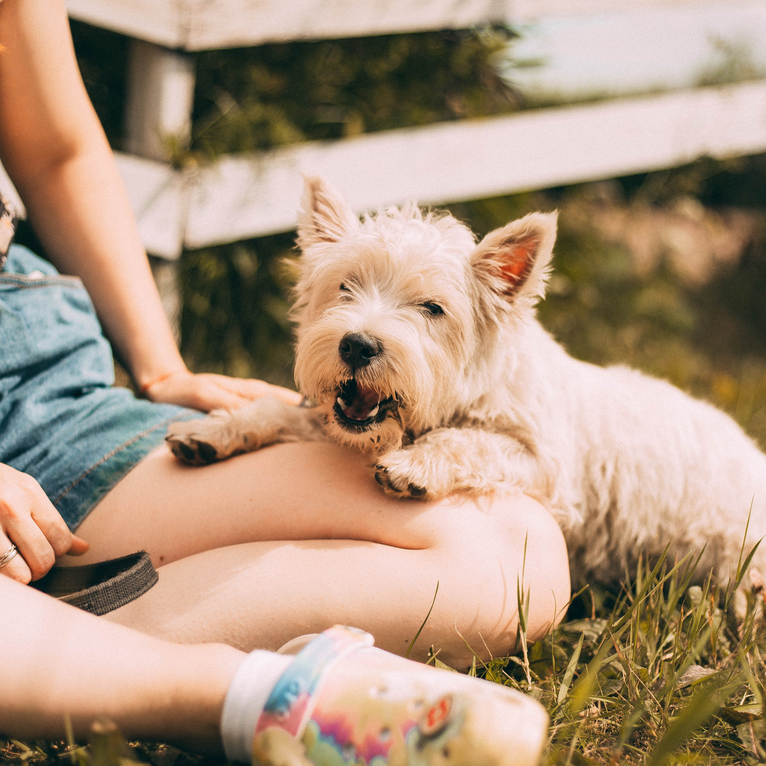 Репортажная съёмка. Анастасия Вернигорова- фотограф в Омске