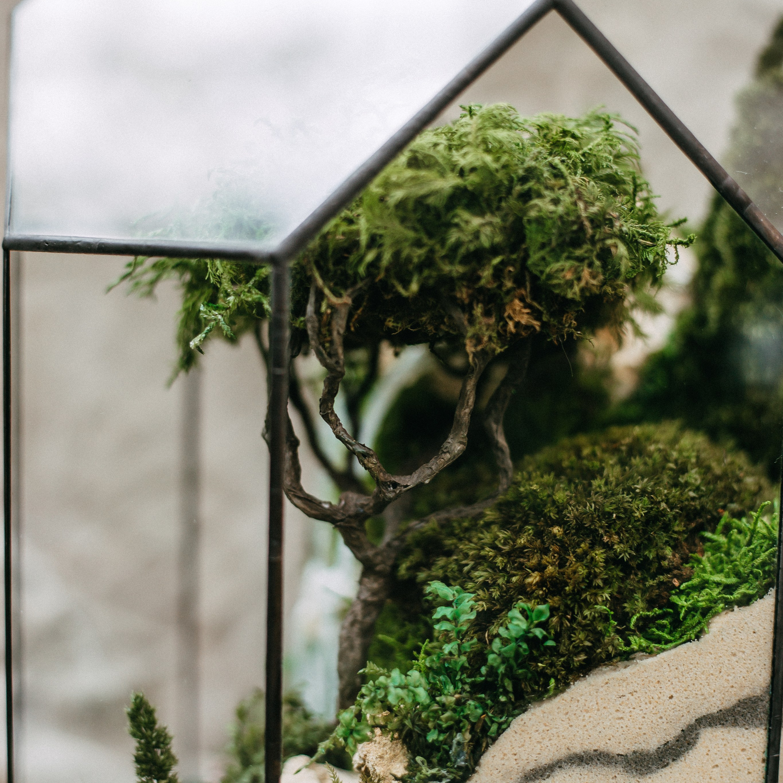 Предметная съёмка. Анастасия Вернигорова- фотограф в Омске