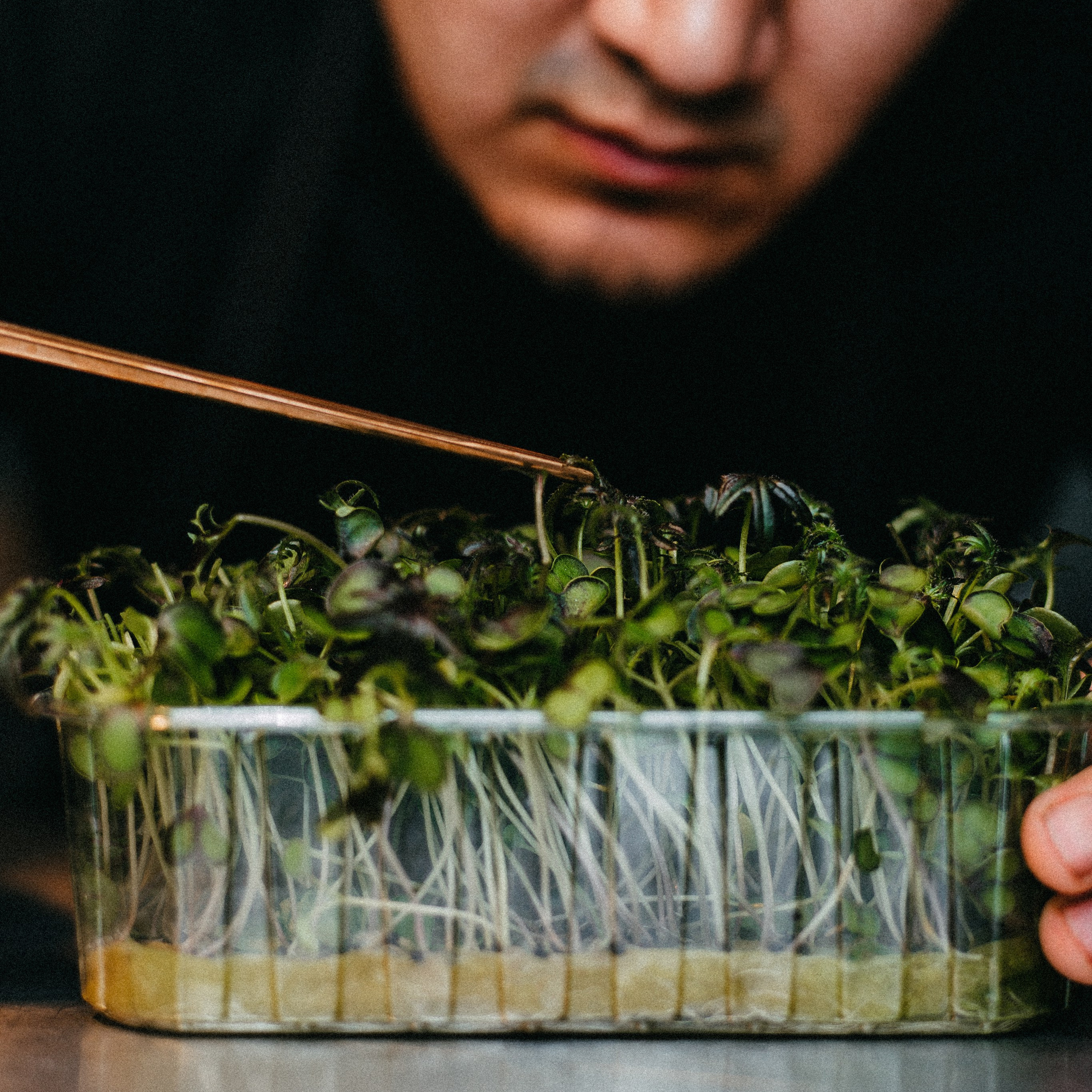 Контент. Анастасия Вернигорова- фотограф в Омске