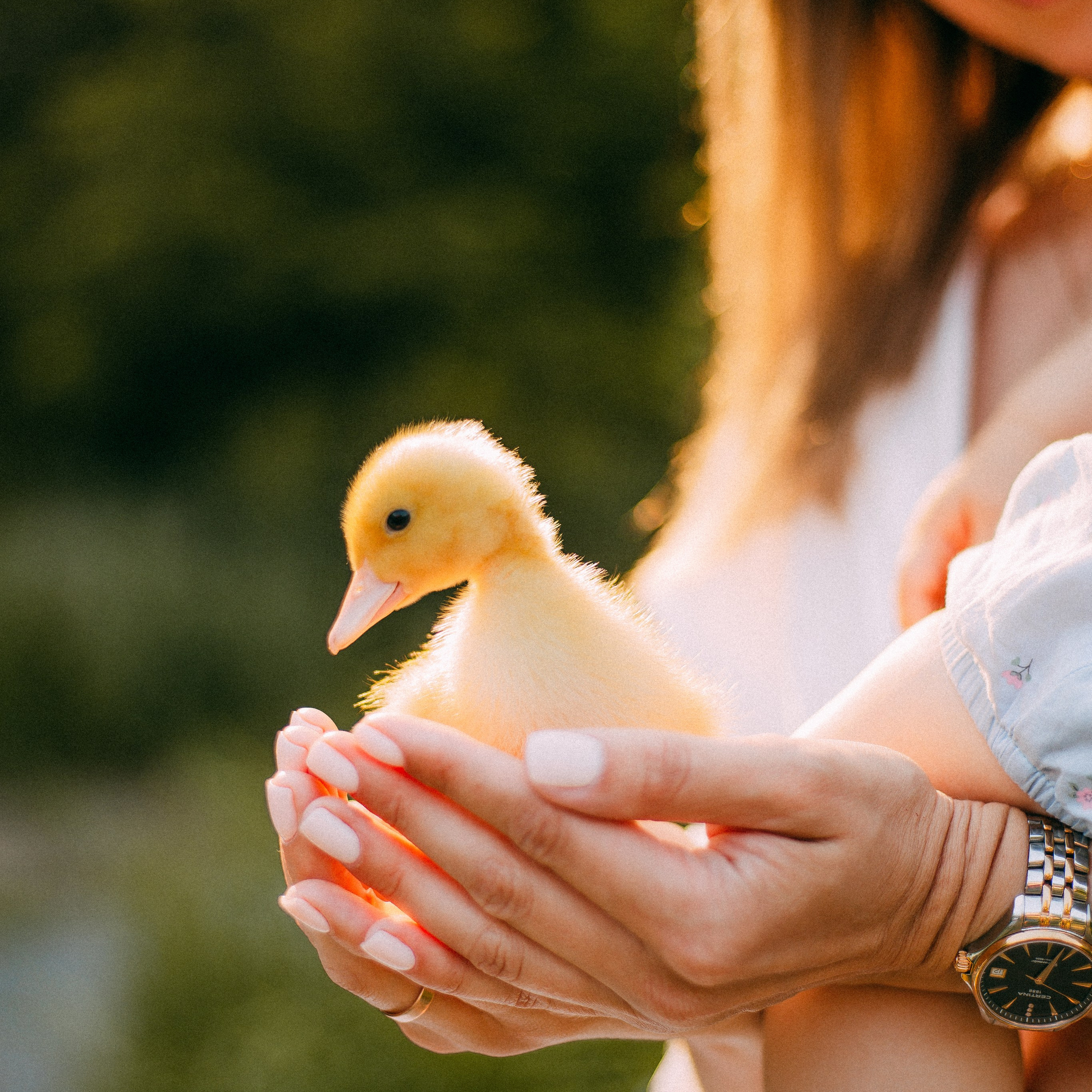 Портрет. Анастасия Вернигорова- фотограф в Омске