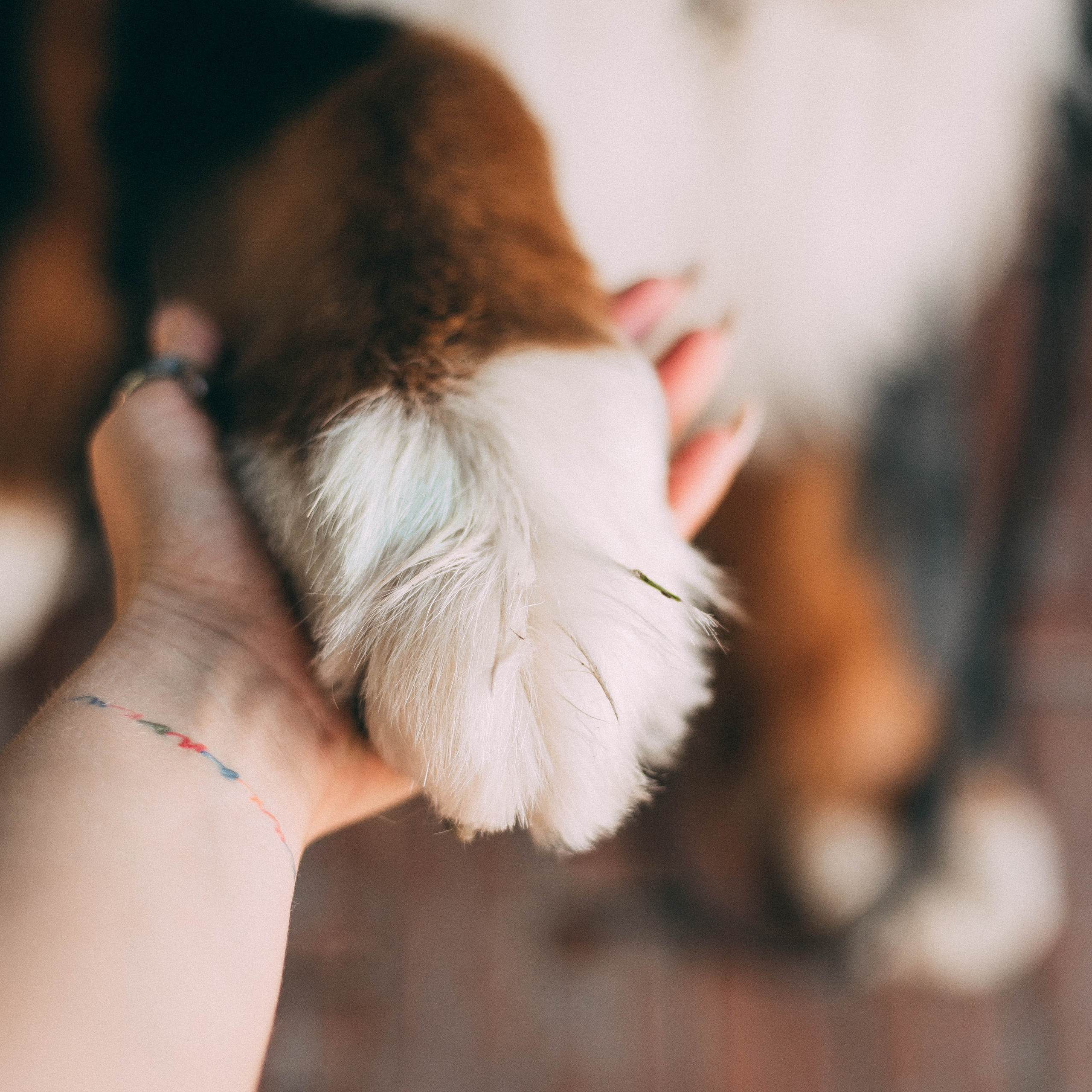 Репортажная съёмка. Анастасия Вернигорова- фотограф в Омске