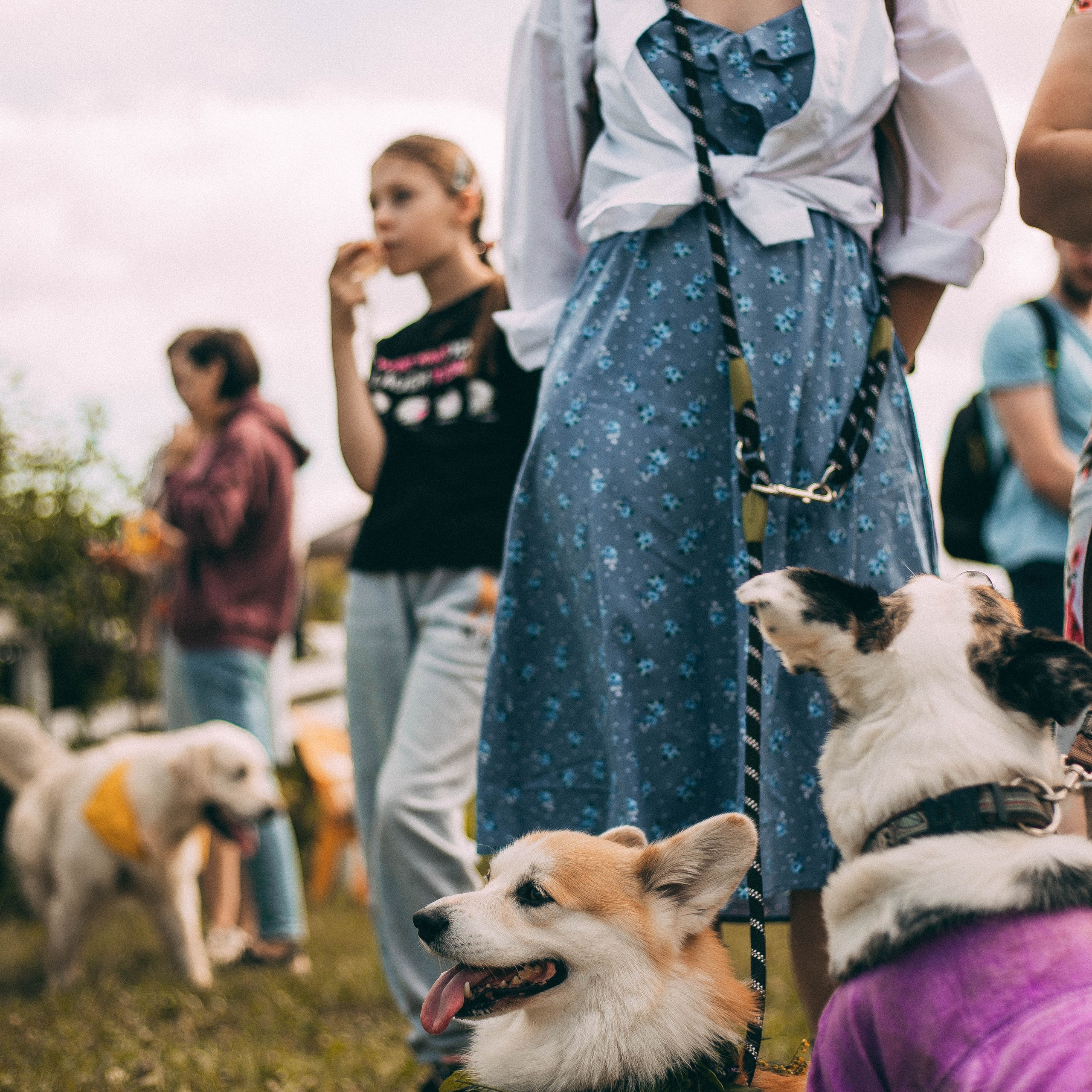 Репортажная съёмка. Анастасия Вернигорова- фотограф в Омске
