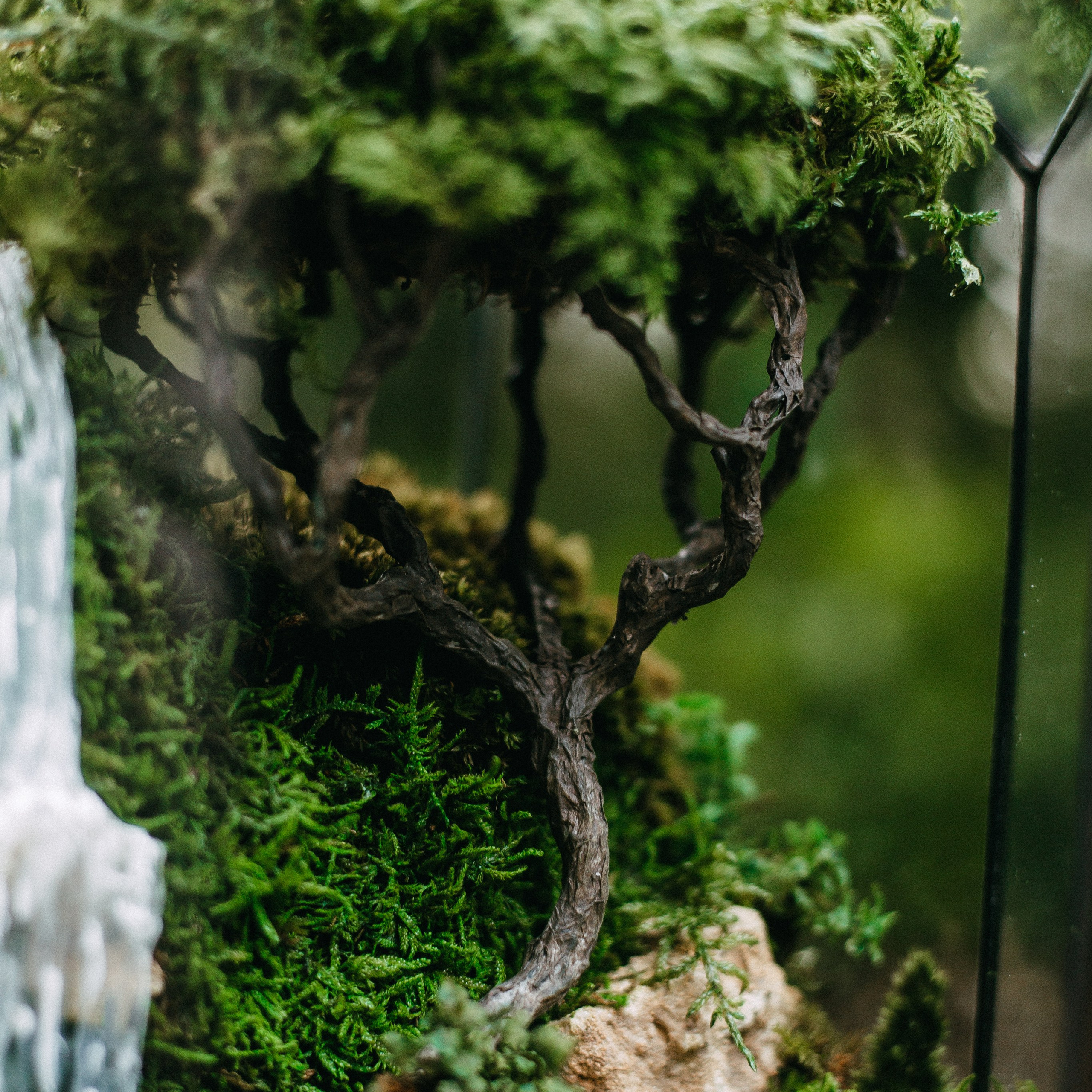 Предметная съёмка. Анастасия Вернигорова- фотограф в Омске