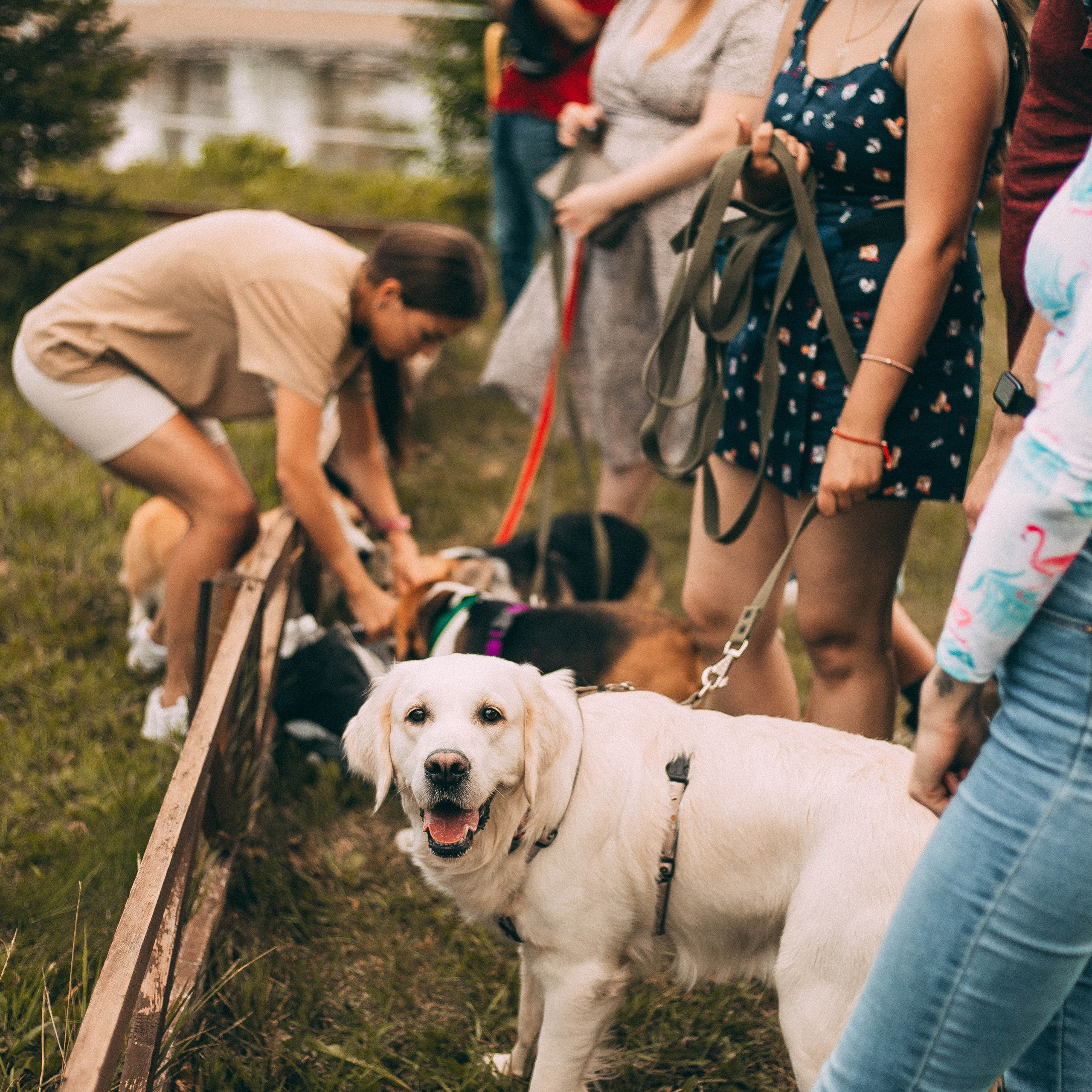 Репортажная съёмка. Анастасия Вернигорова- фотограф в Омске