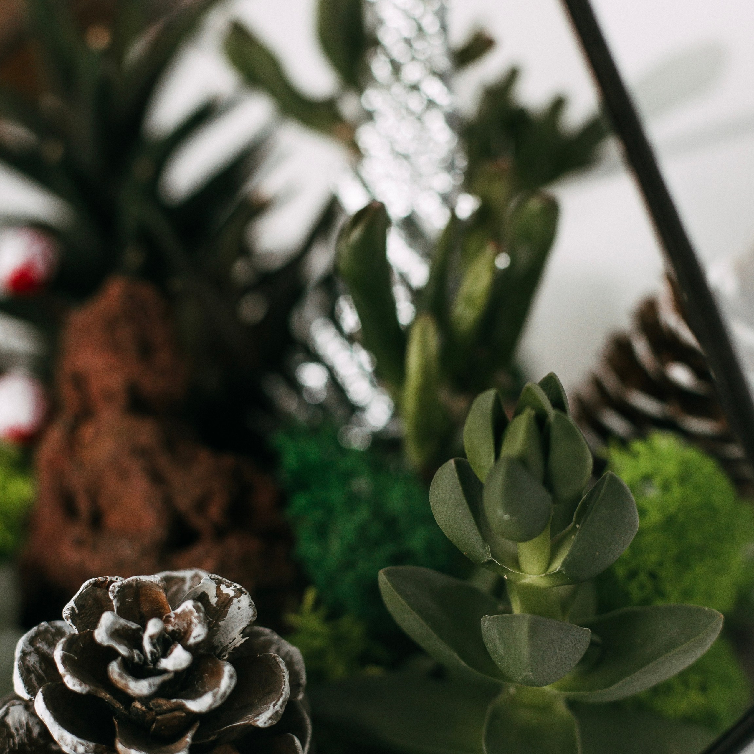 Предметная съёмка. Анастасия Вернигорова- фотограф в Омске