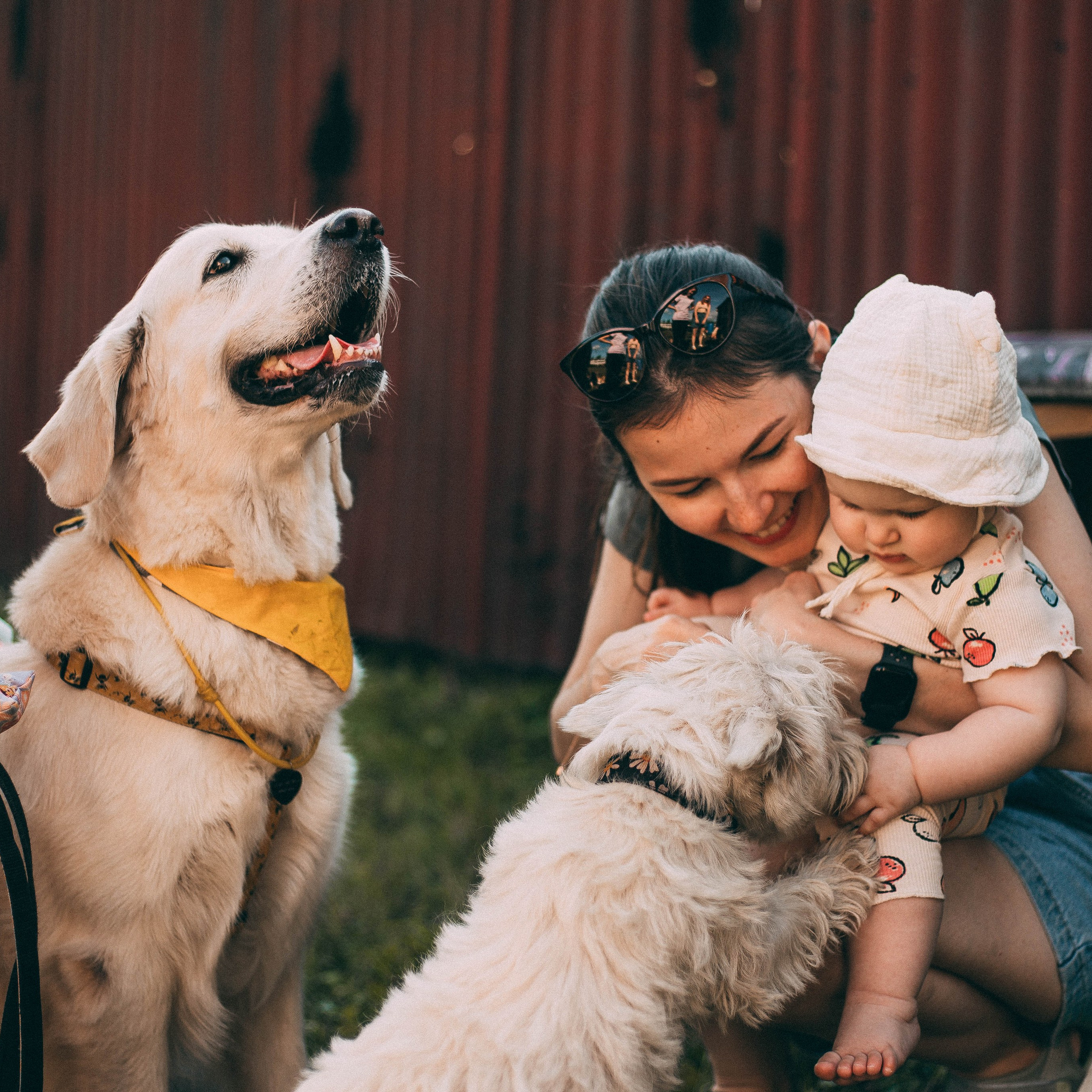 Репортажная съёмка. Анастасия Вернигорова- фотограф в Омске