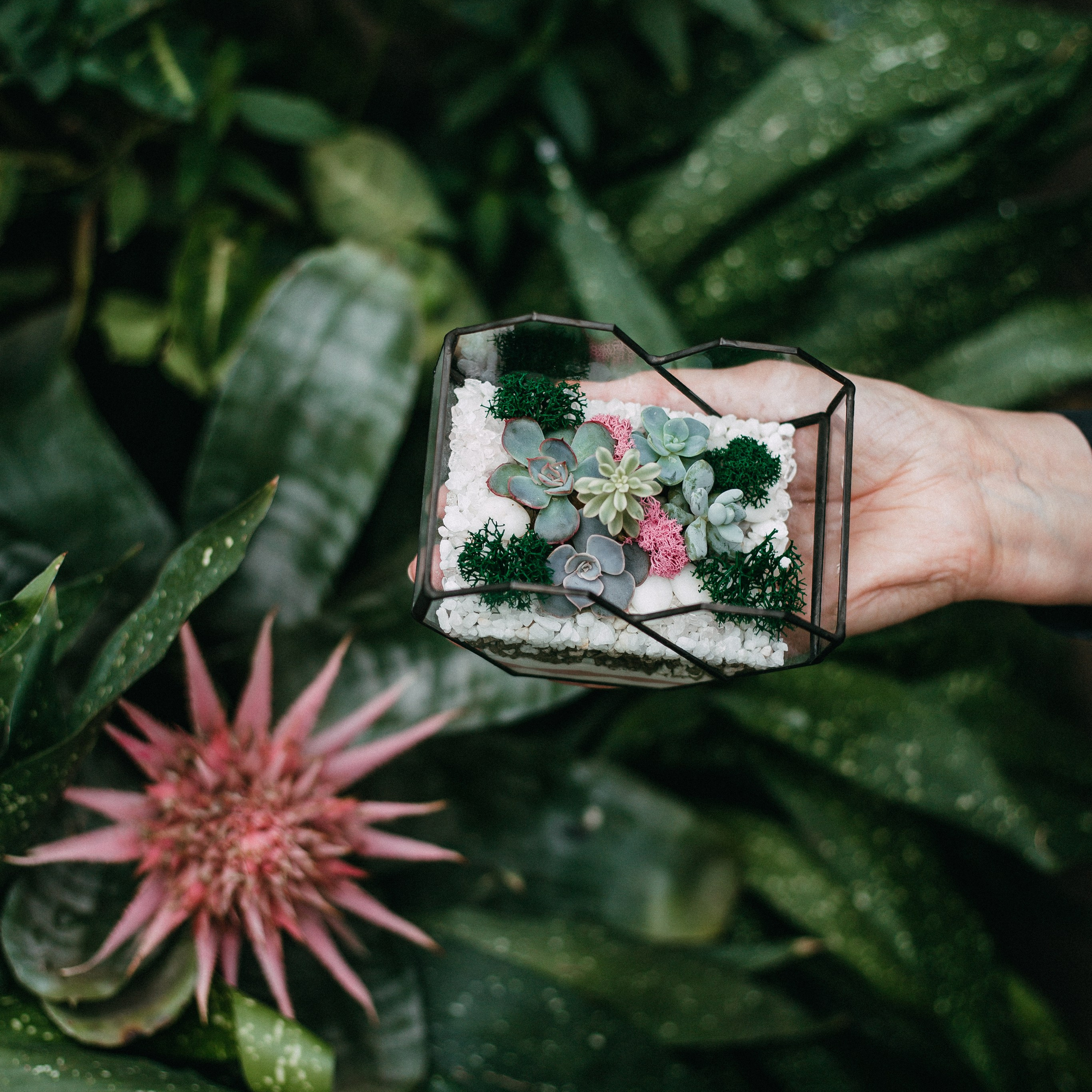 Предметная съёмка. Анастасия Вернигорова- фотограф в Омске