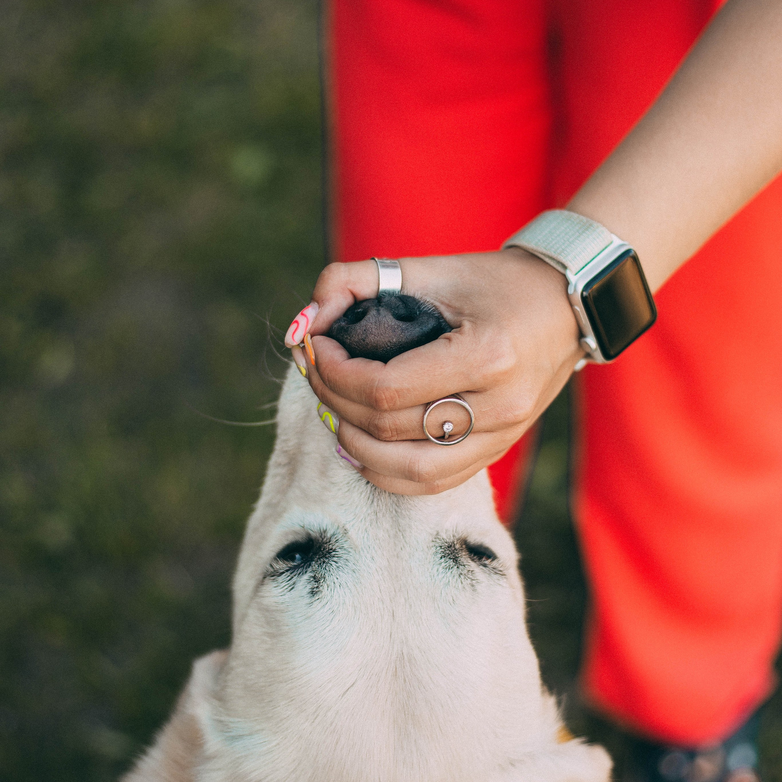 Репортажная съёмка. Анастасия Вернигорова- фотограф в Омске