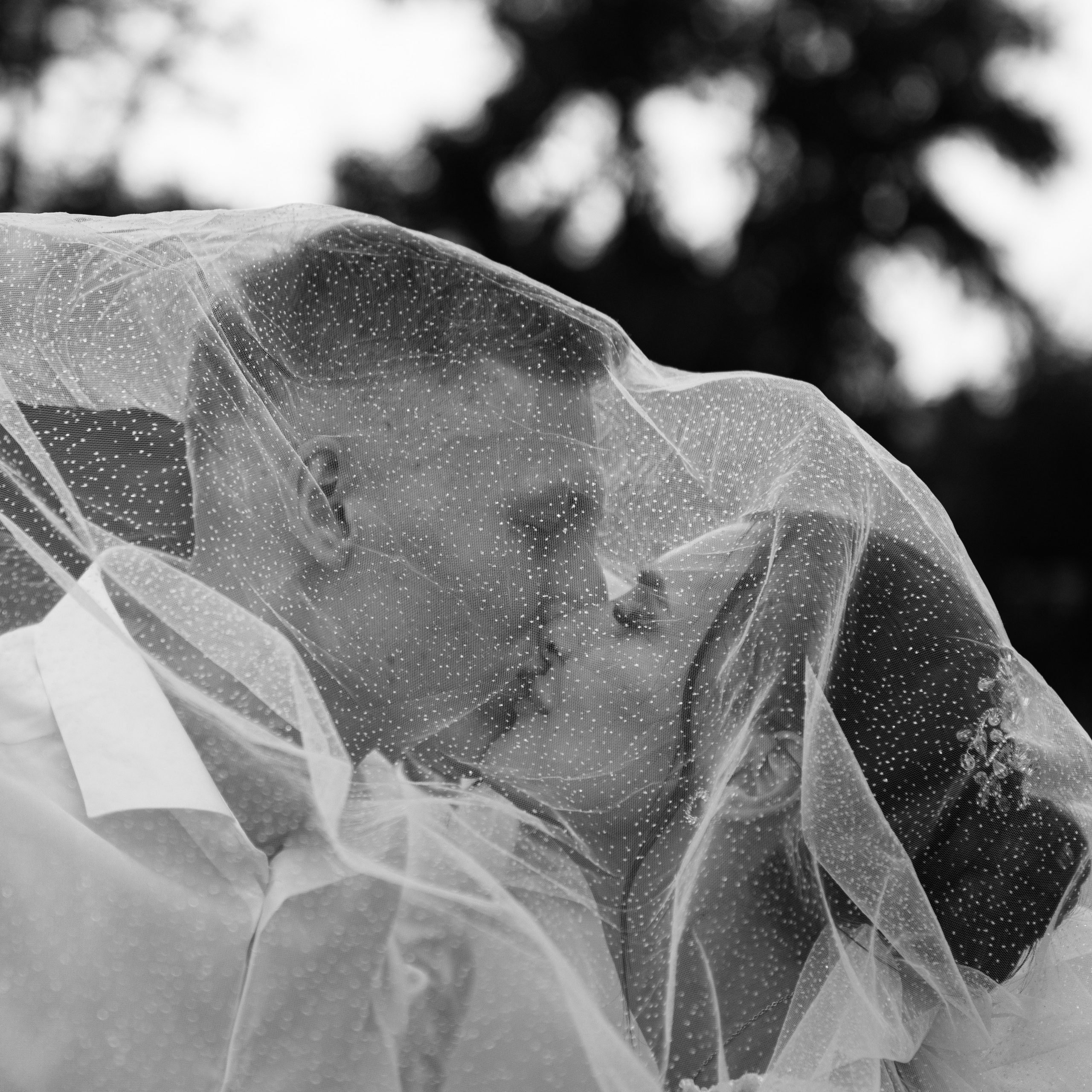 Отзывы. Алена Костарева. Фотограф в Ростове-на-Дону