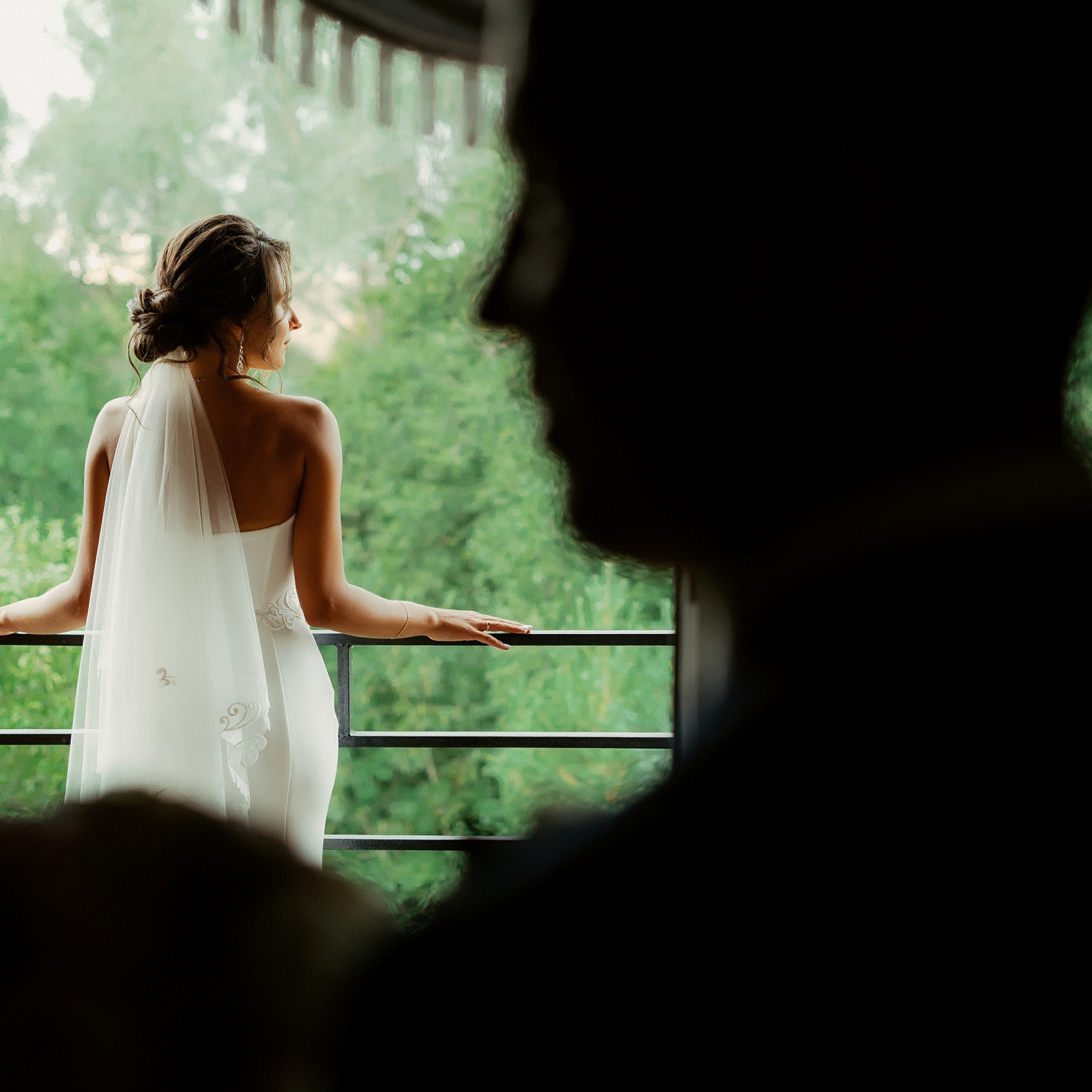 Владимир и Анна